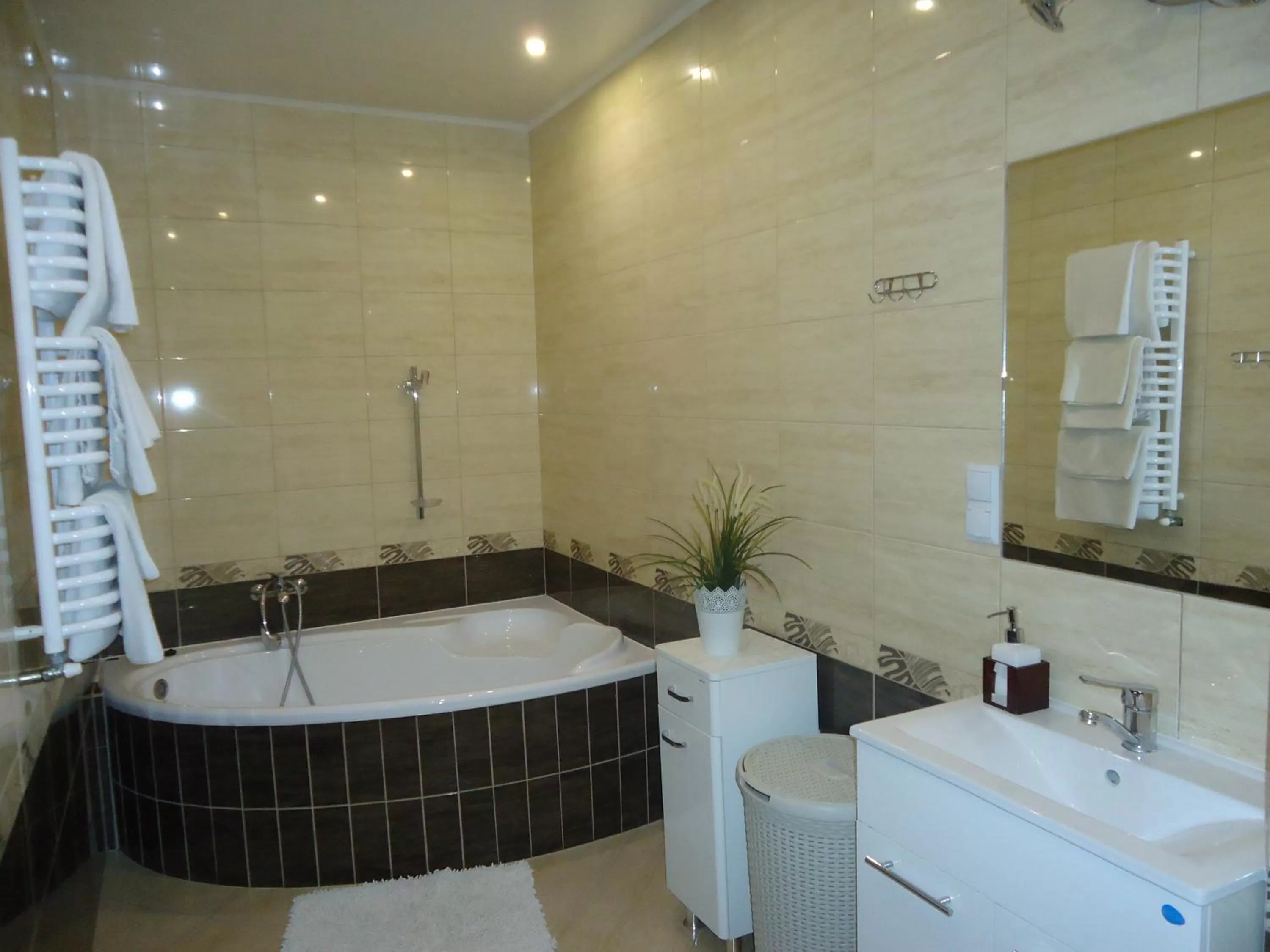 Bathroom in Pokoje Bakos Radocza