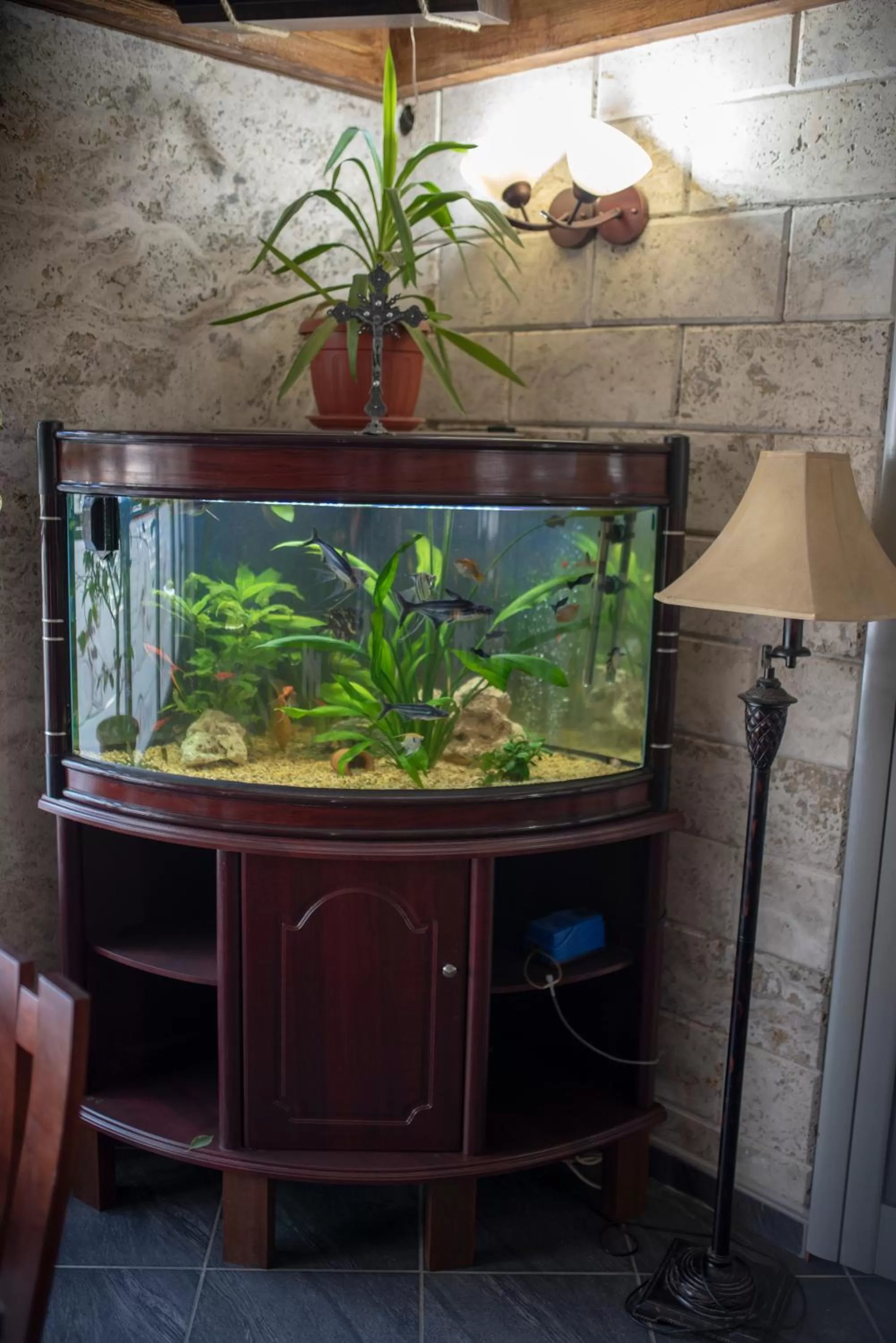 DIONIS Rooms & Apartments