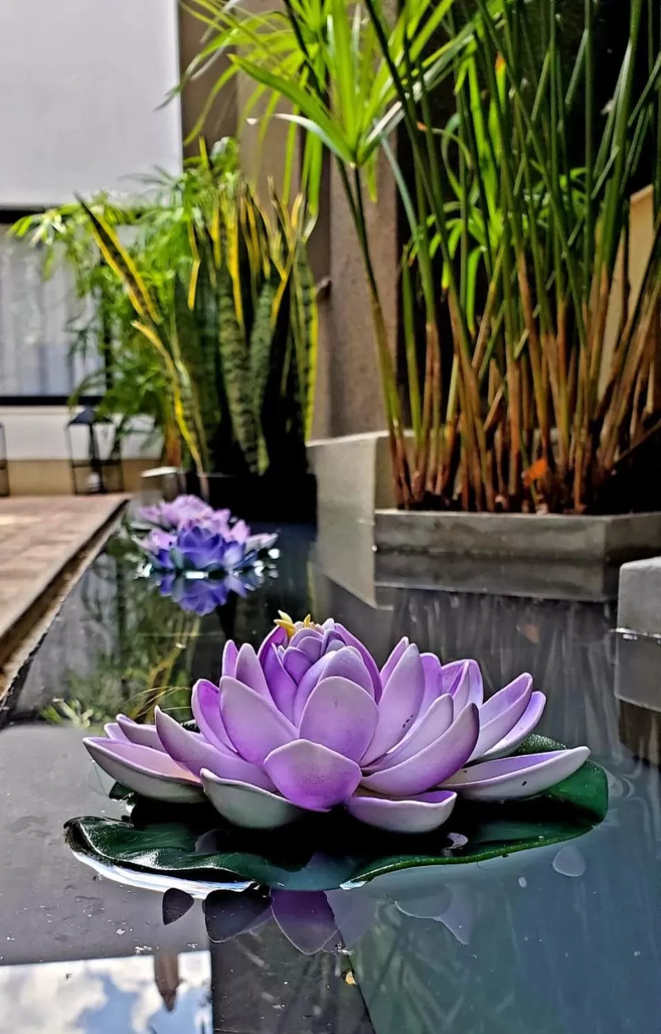 Patio in MG Design Hotel Boutique