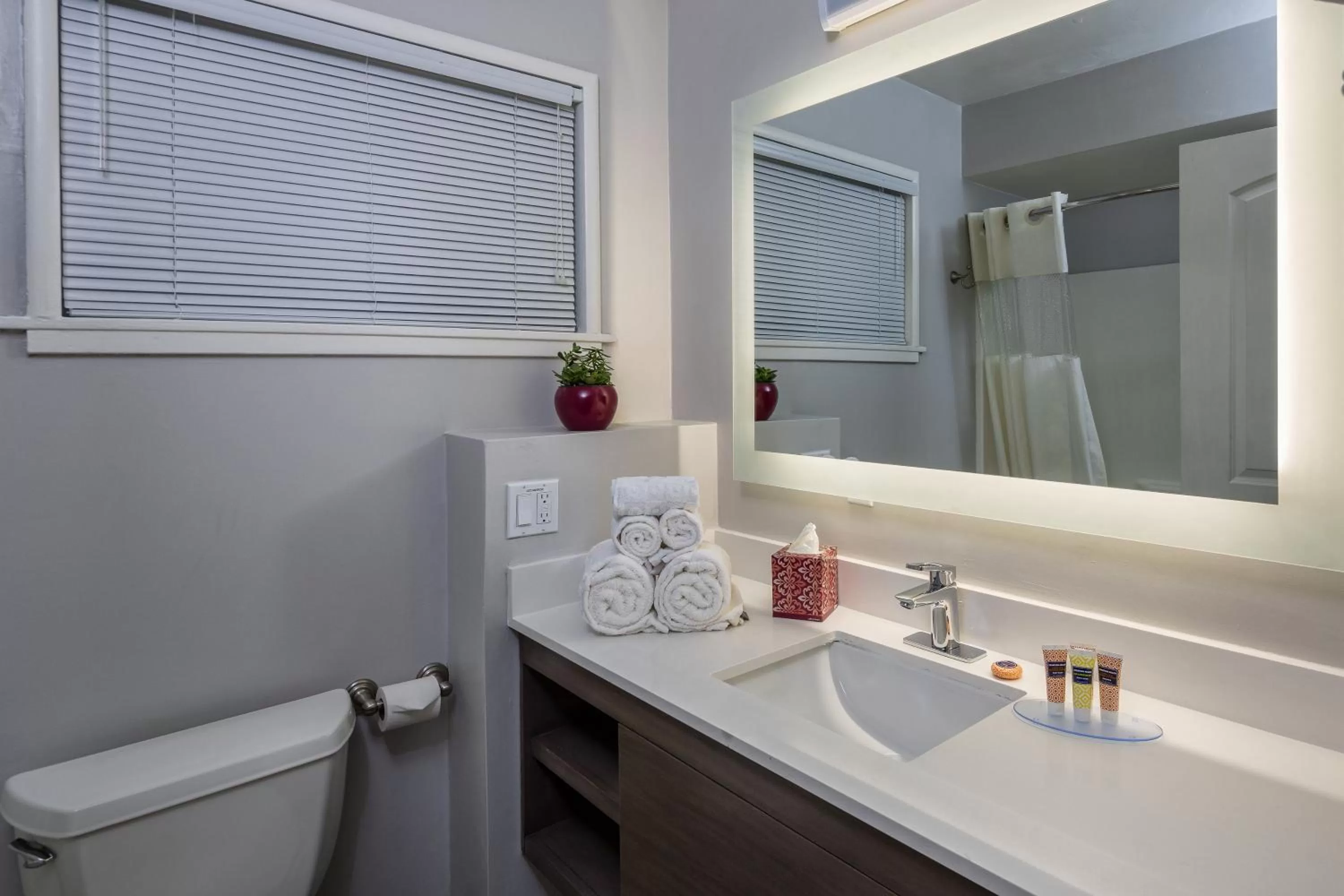 Bathroom in The Palo Alto Inn