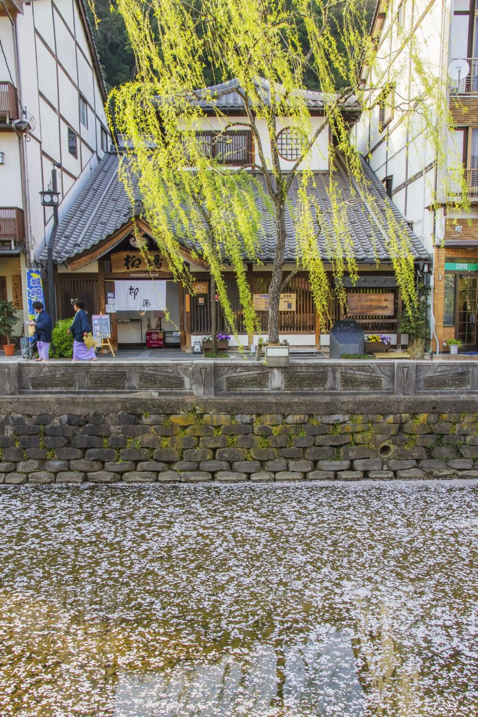 Natural landscape in Mikuniya