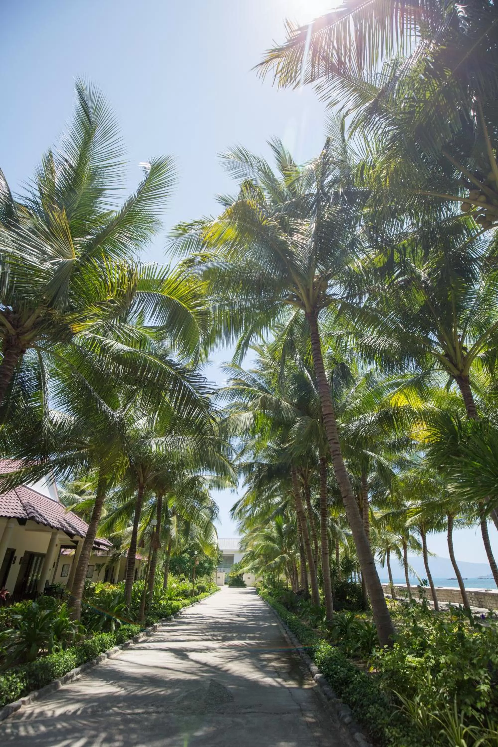 On site in Diamond Bay Resort & Spa