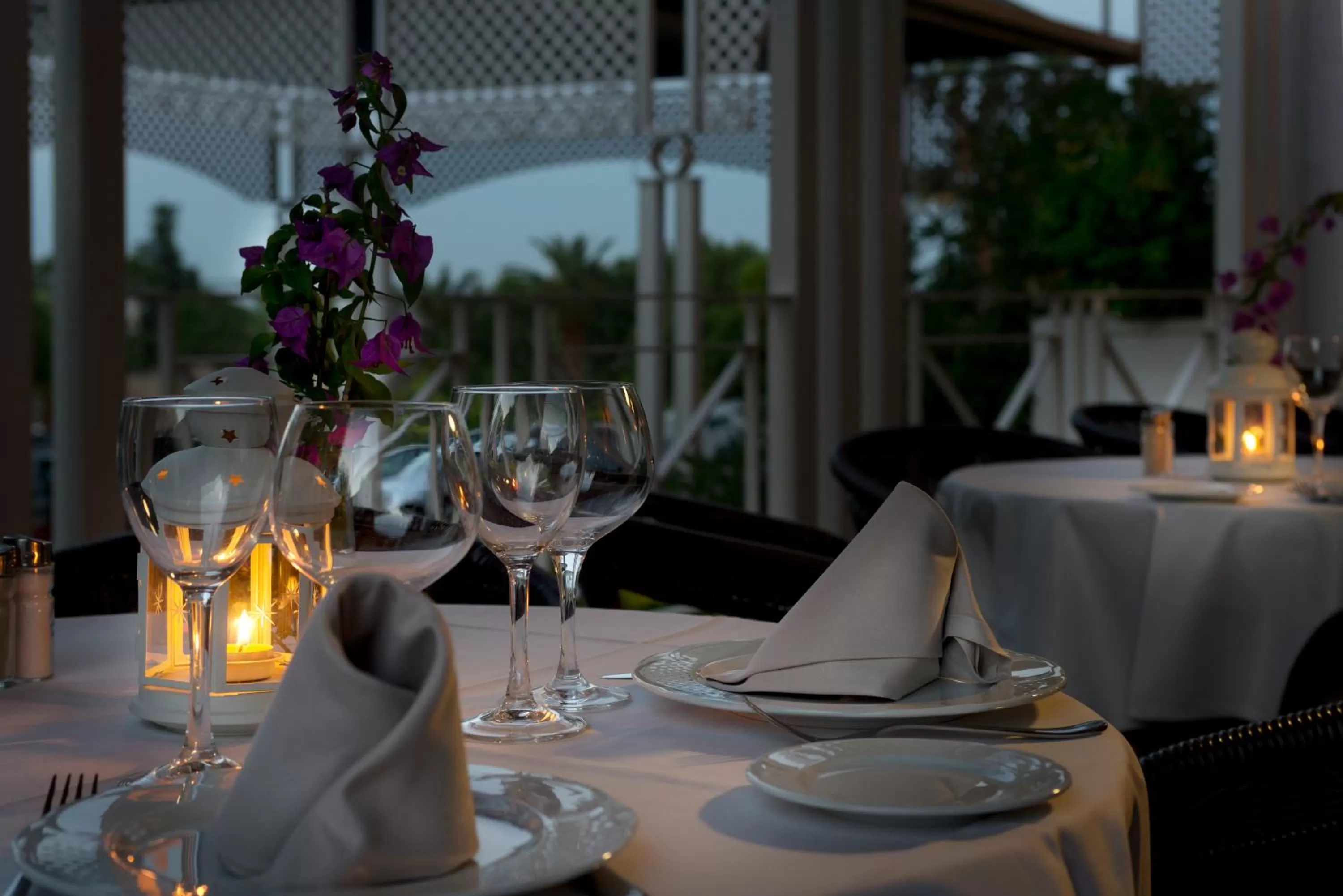 Restaurant/places to eat in Exe Las Adelfas