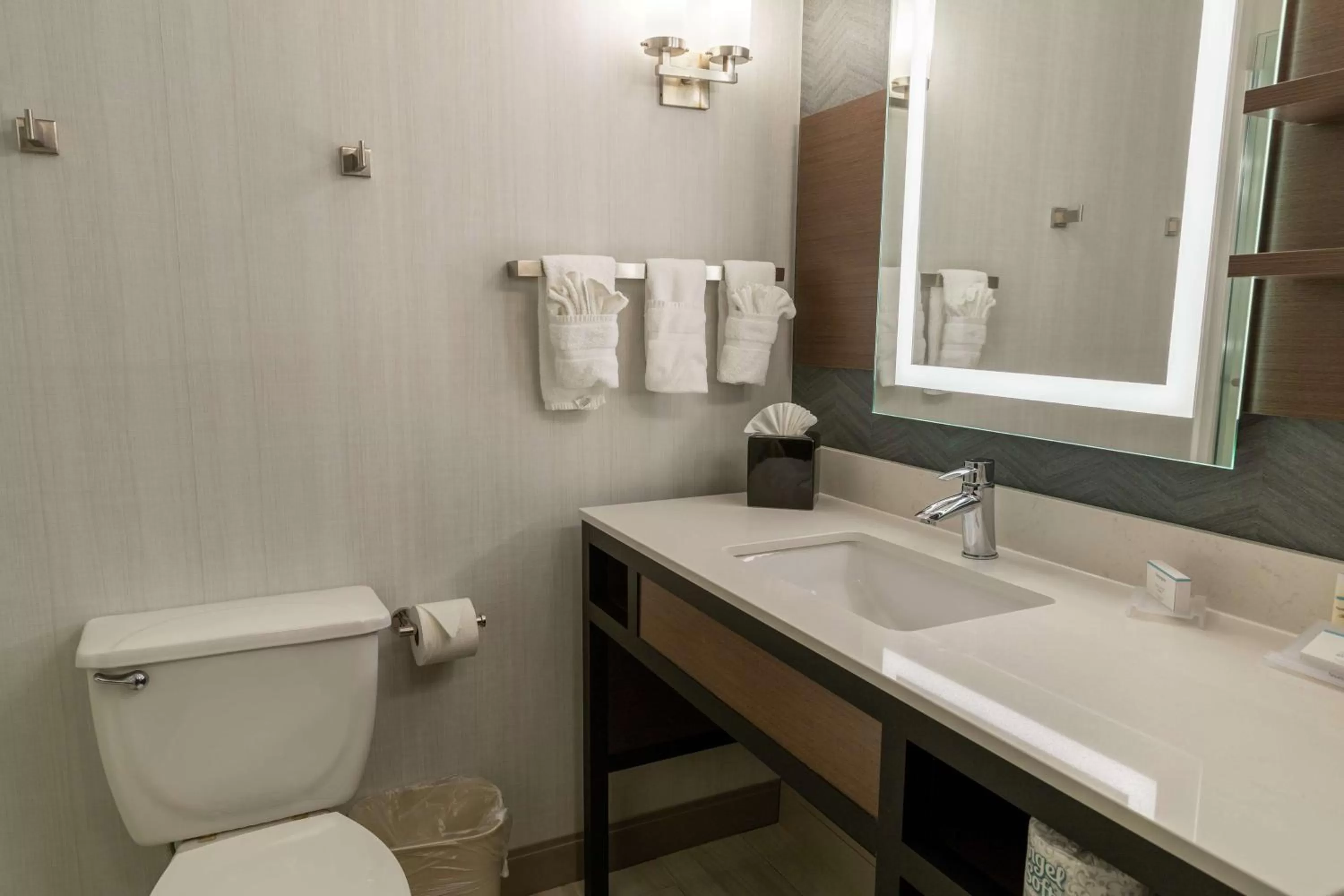 Bathroom in Hilton Garden Inn West Des Moines