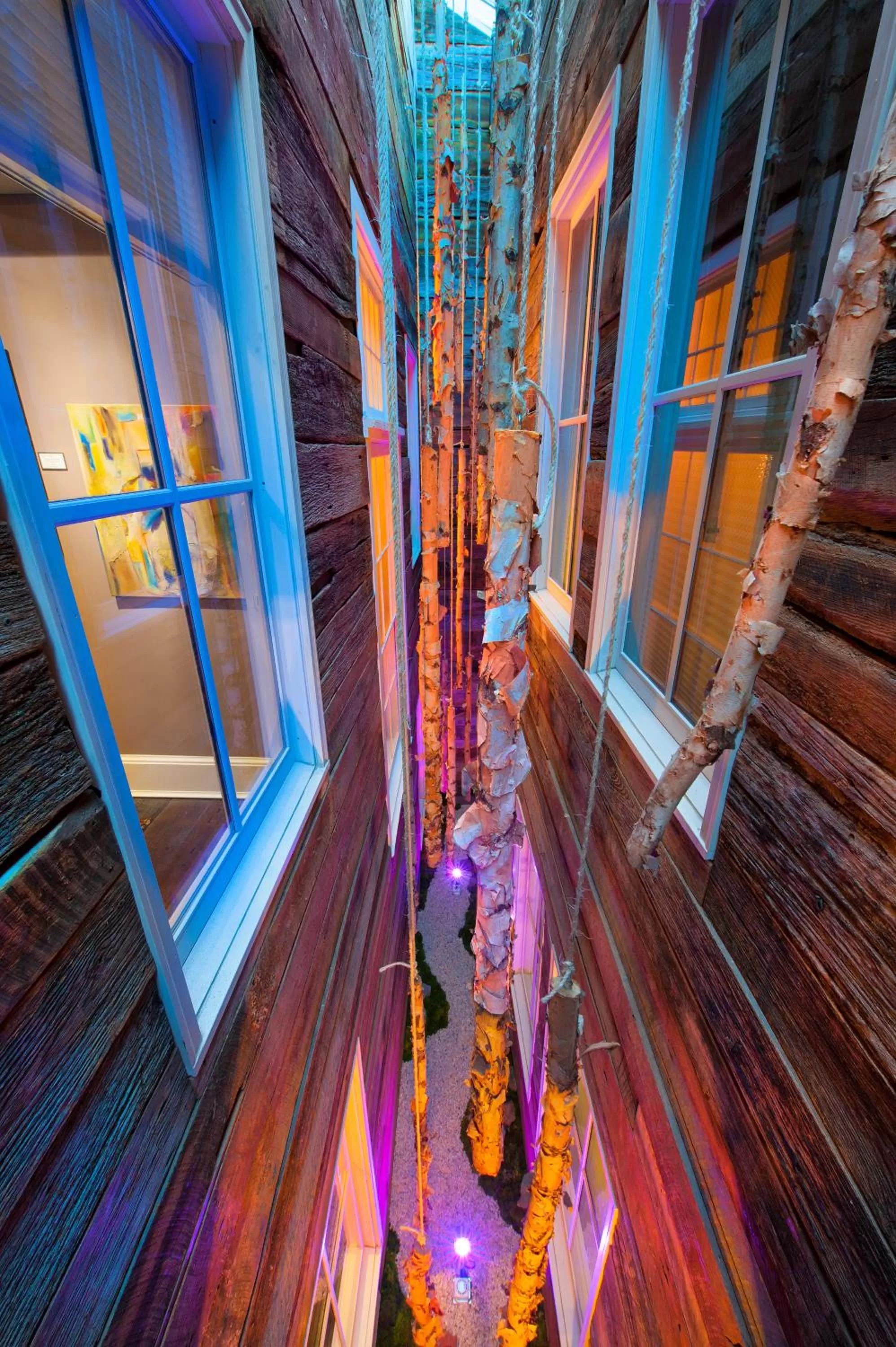 Property building in The Windsor - Asheville