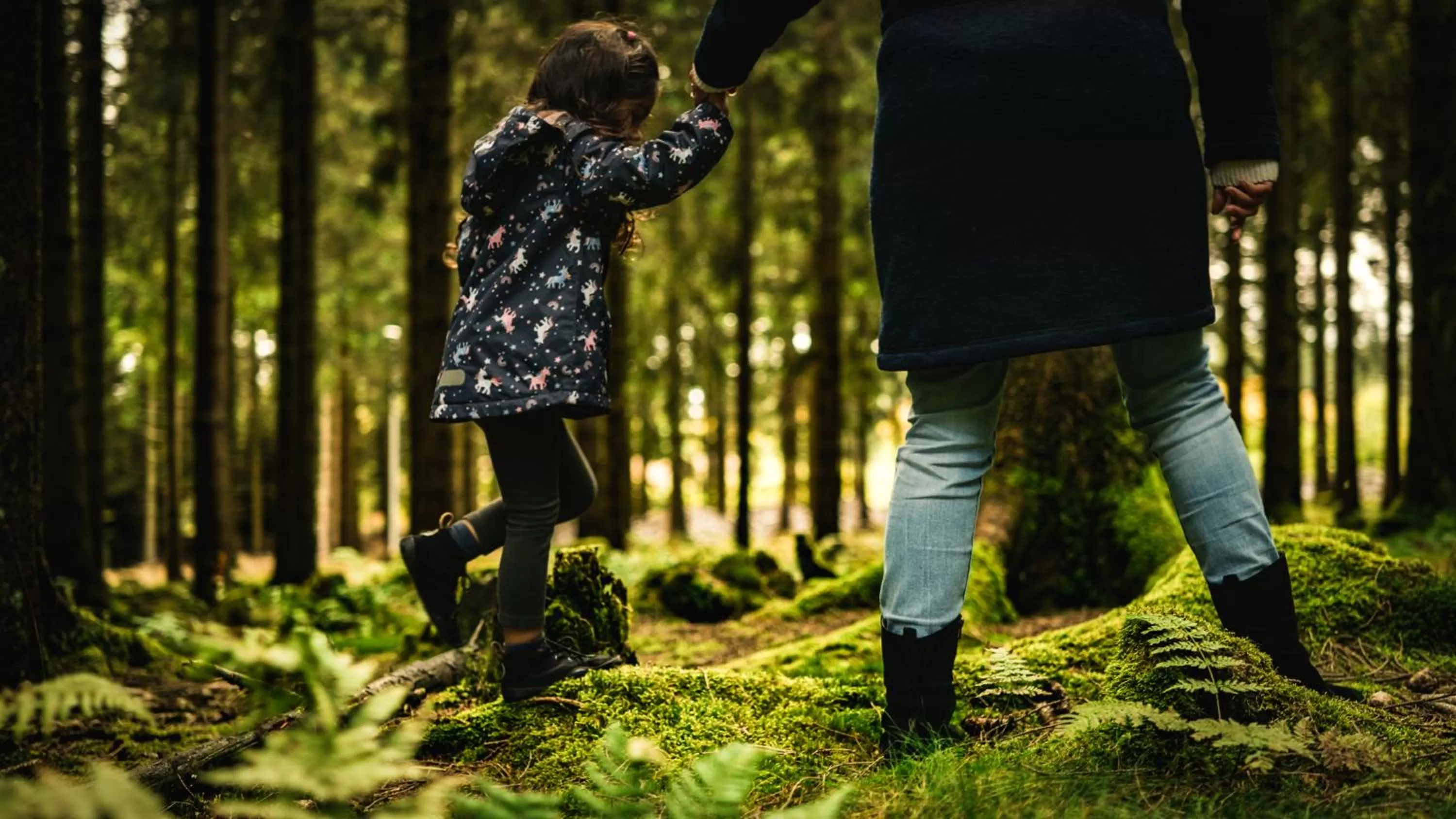 Natural landscape in Dorint Resort Winterberg