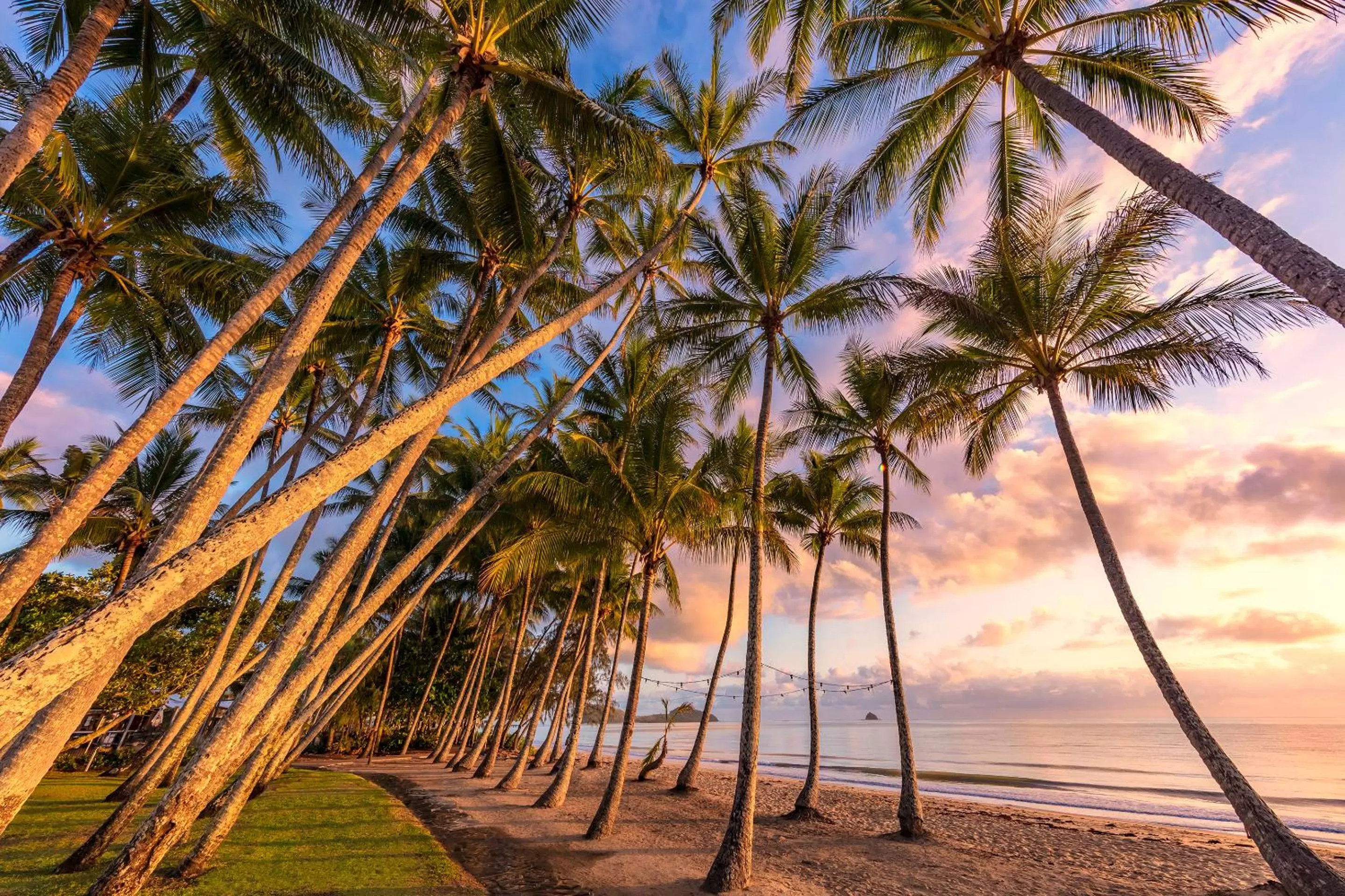 Natural landscape in Drift Palm Cove