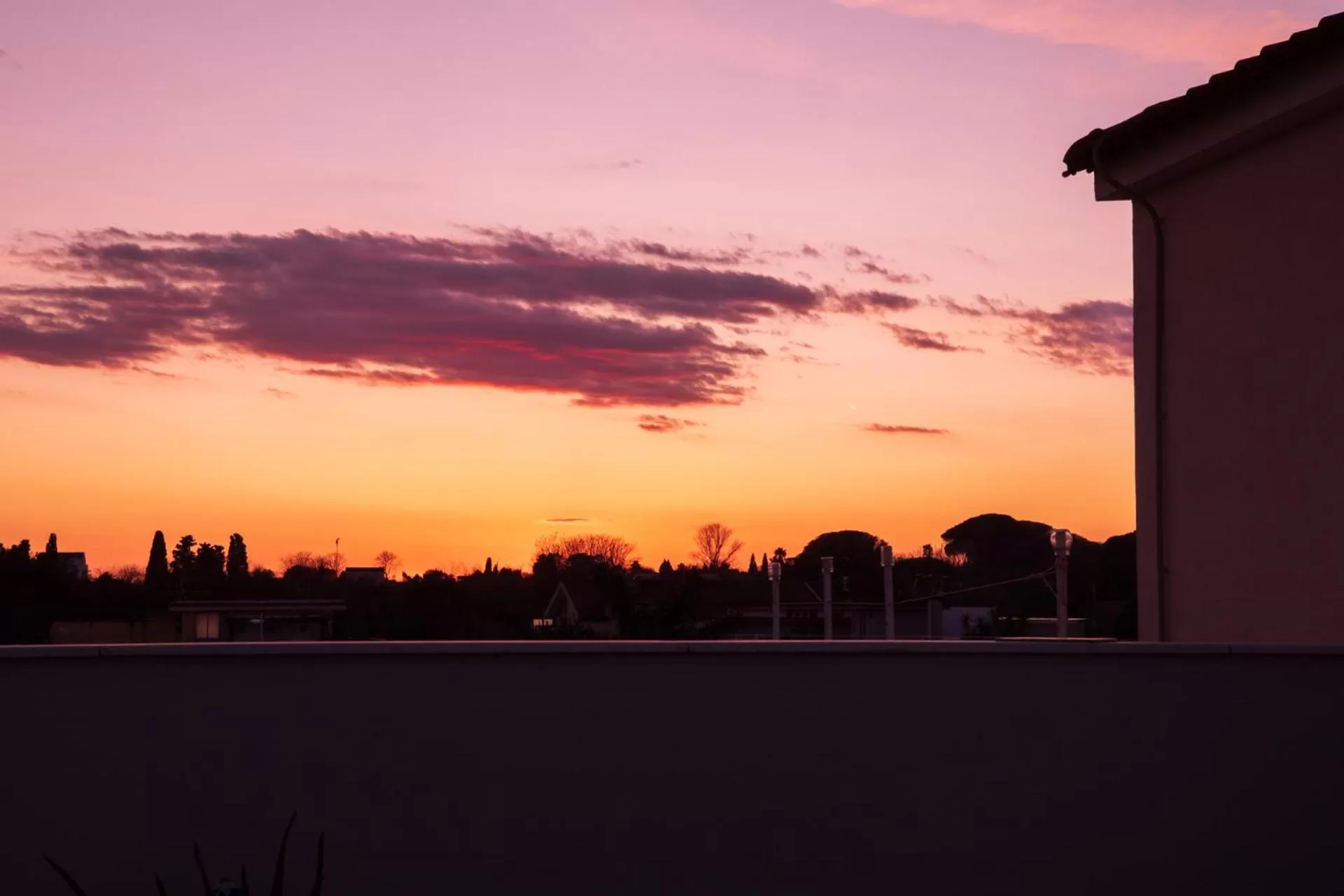 Natural landscape in Nolana '86