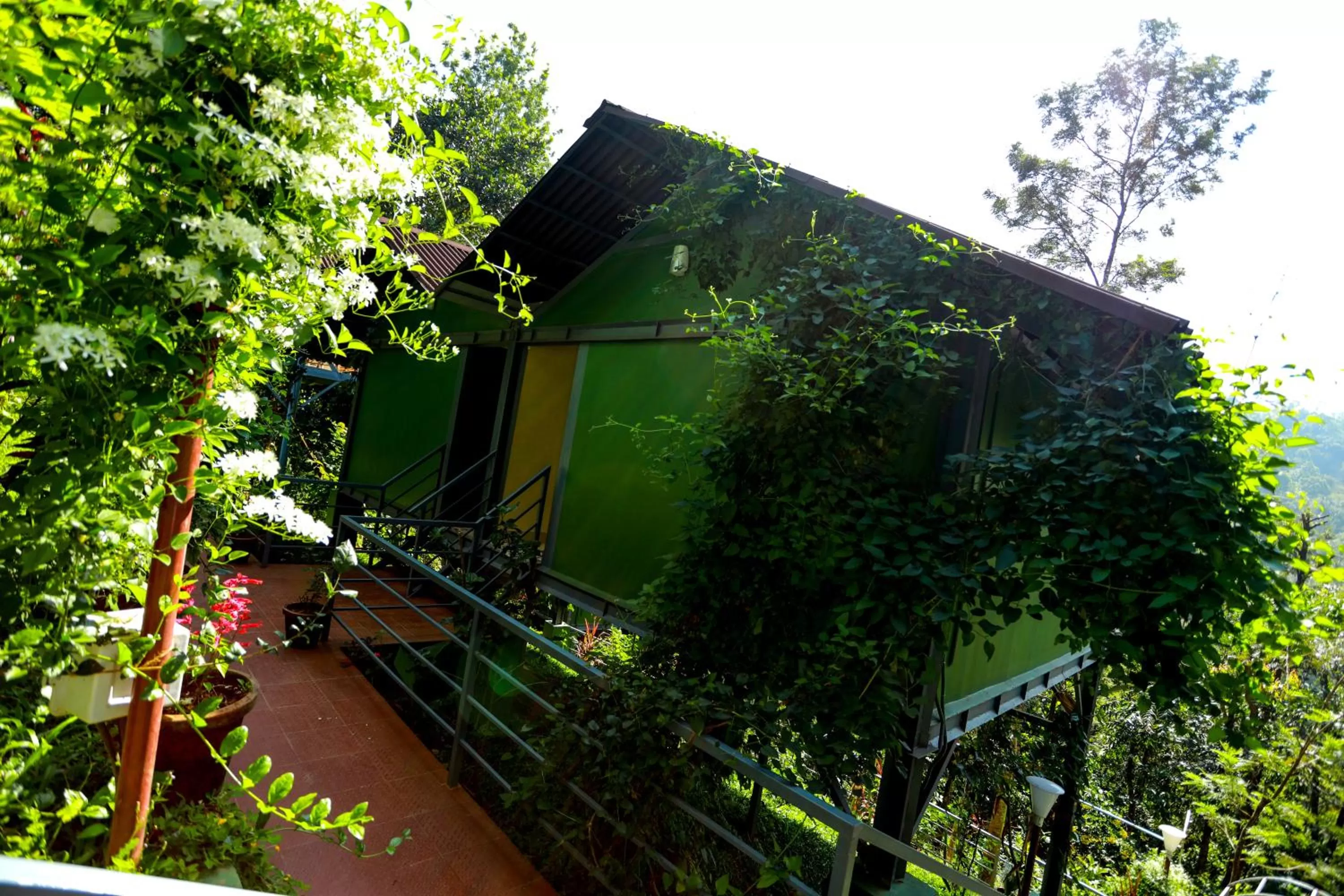 Property building in Edens Munnar