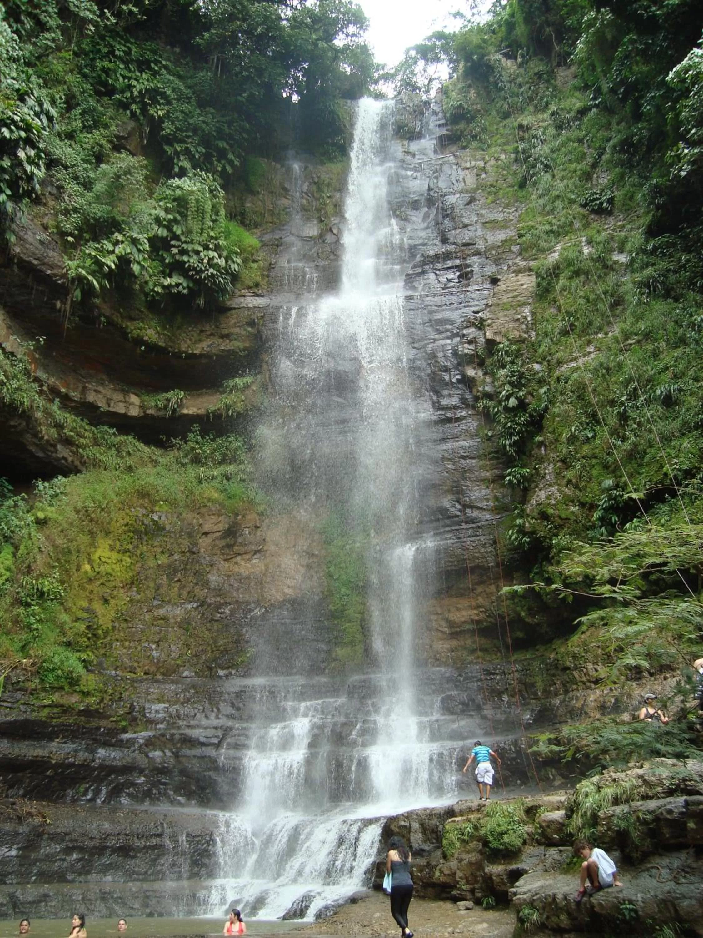 Natural Landscape in Hotel Centro Real