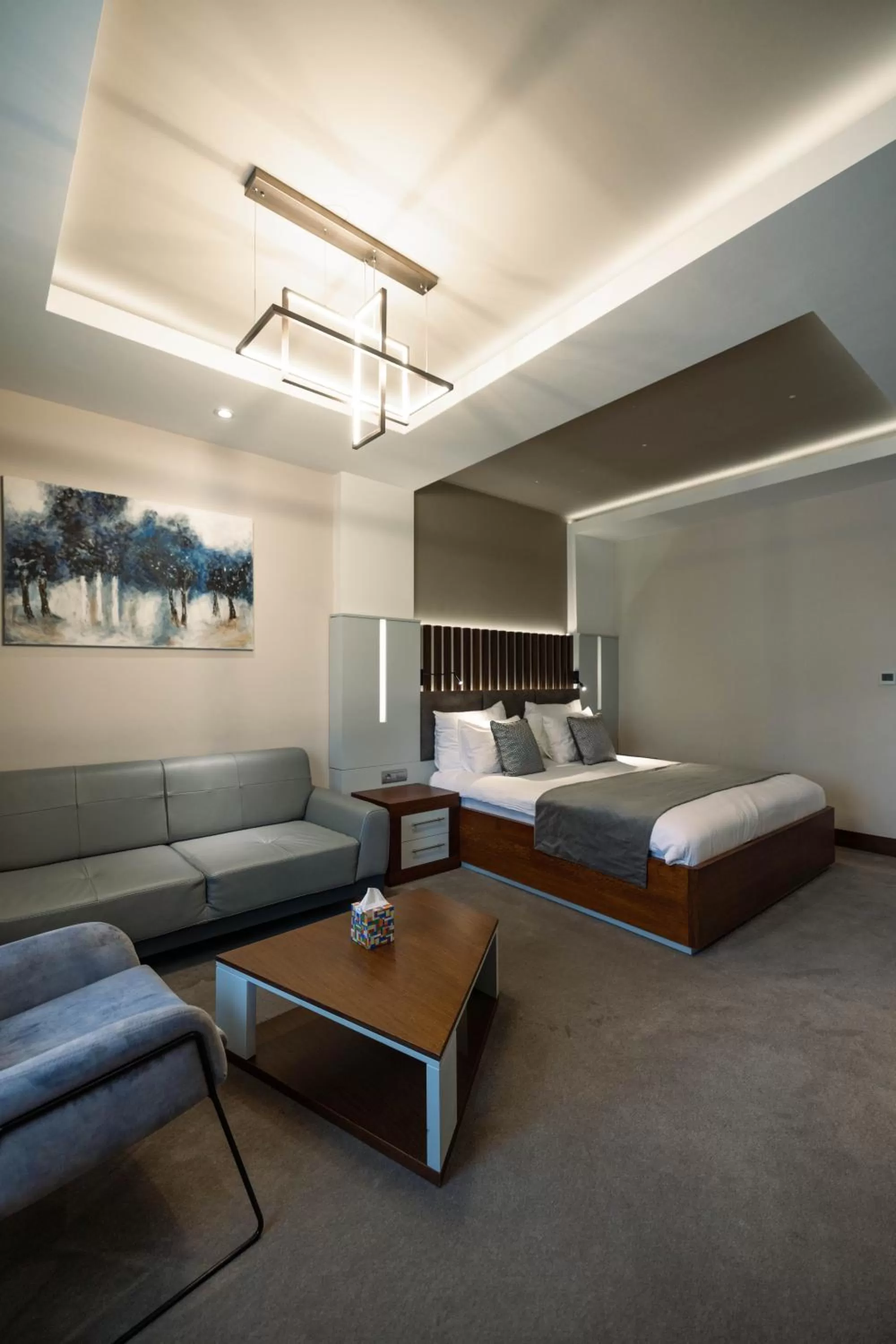 Seating Area in Hotel Prishtina