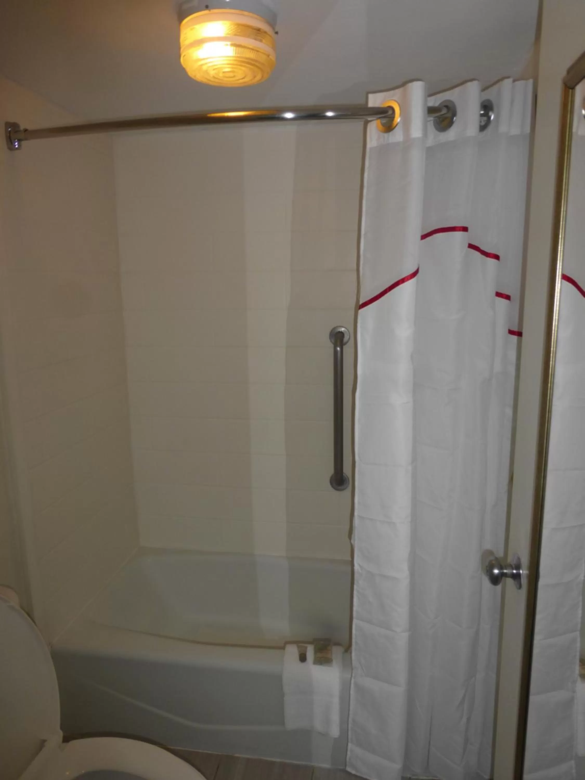 Bathroom in Red Roof Inn Tallahassee East