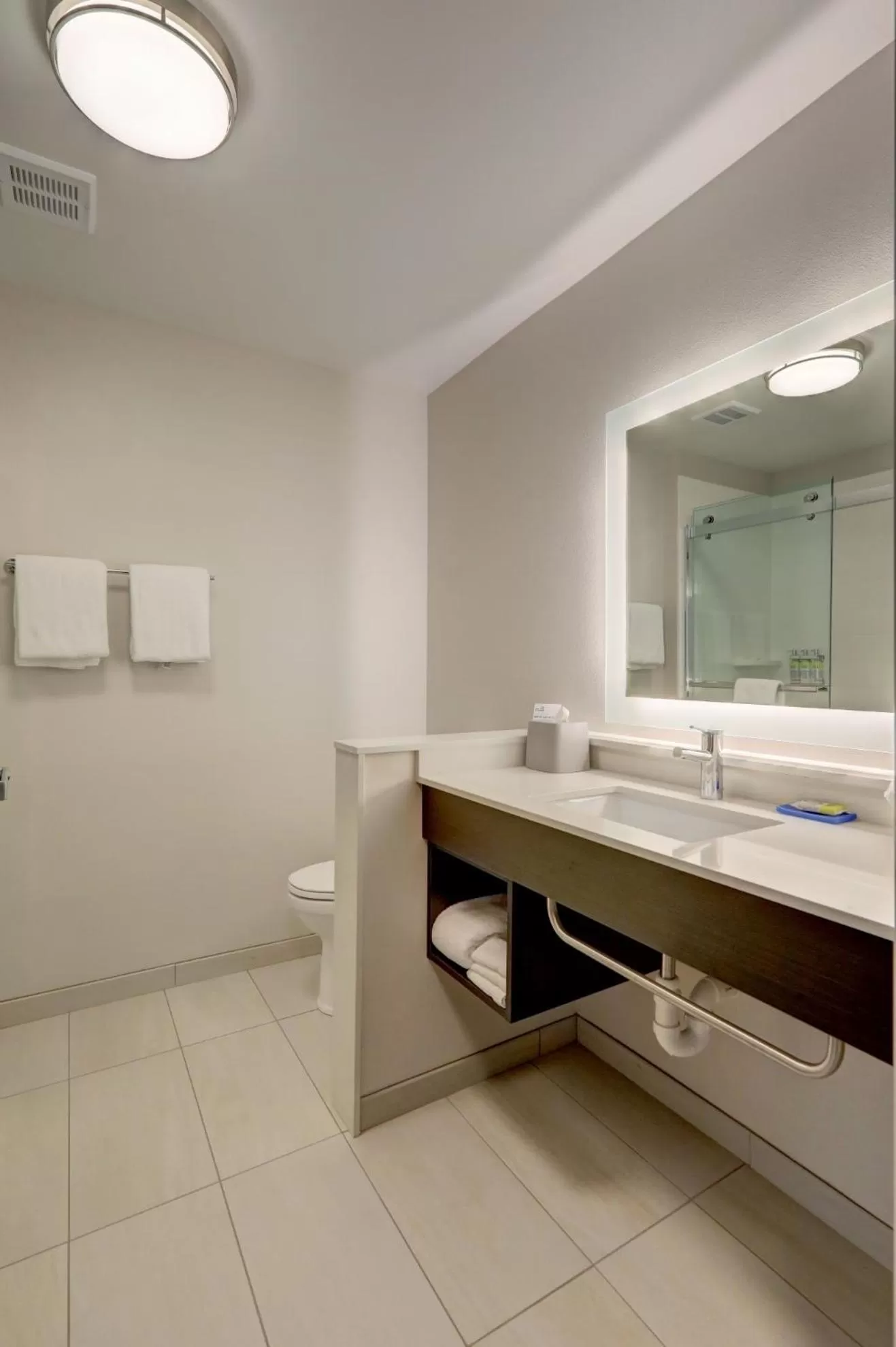 Bathroom in Holiday Inn Express & Suites - Auburn Downtown by IHG