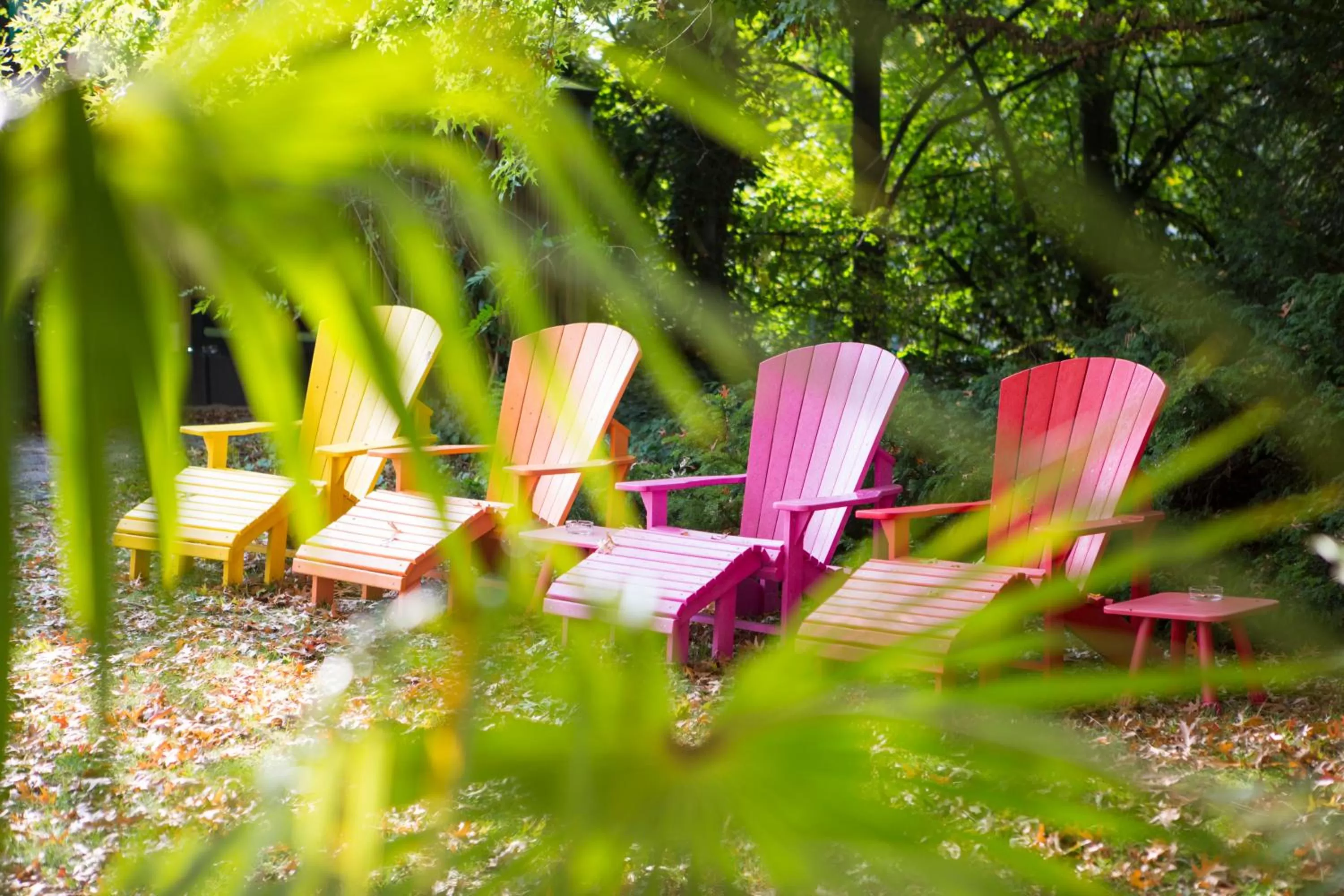 Patio in Auszeit Hotel Düsseldorf - das Frühstückshotel