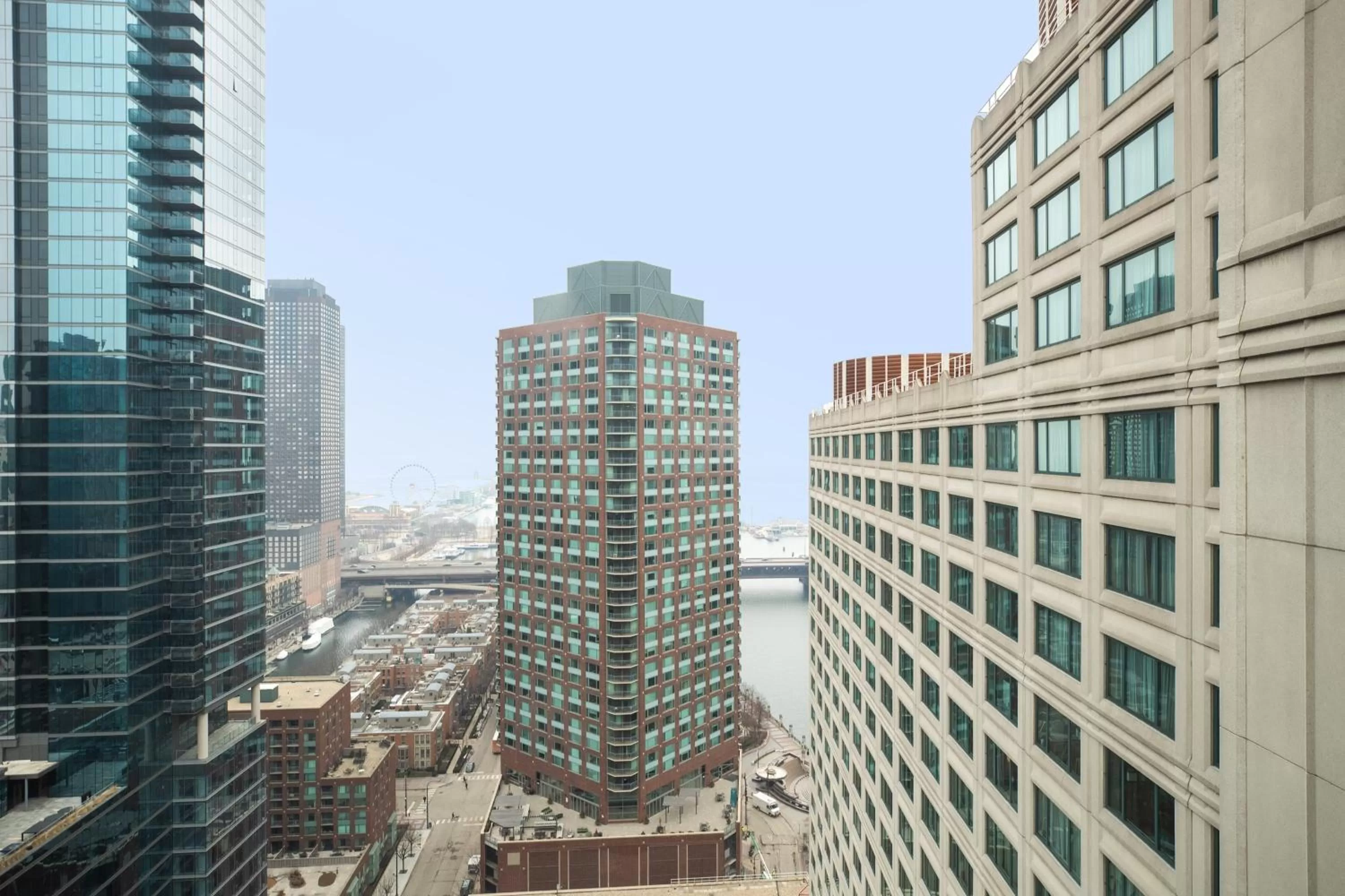 Photo of the whole room in Sheraton Grand Chicago Riverwalk