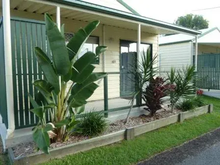 Deluxe Cabin in Fraser Coast Top Tourist Park Deluxe Cabin in Fraser Coast Top Tourist Park