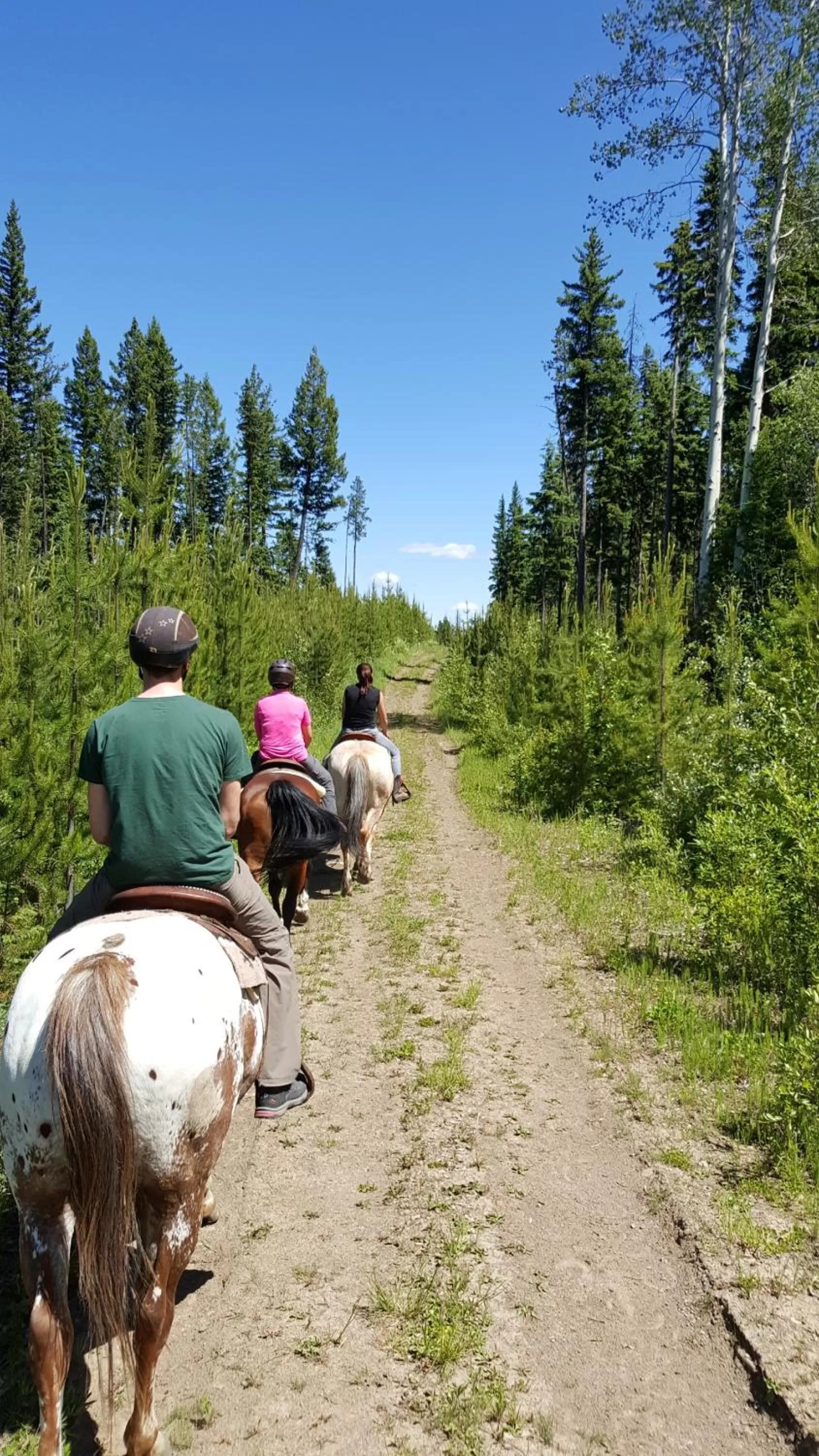 Activities in Wettstone Guest Ranch