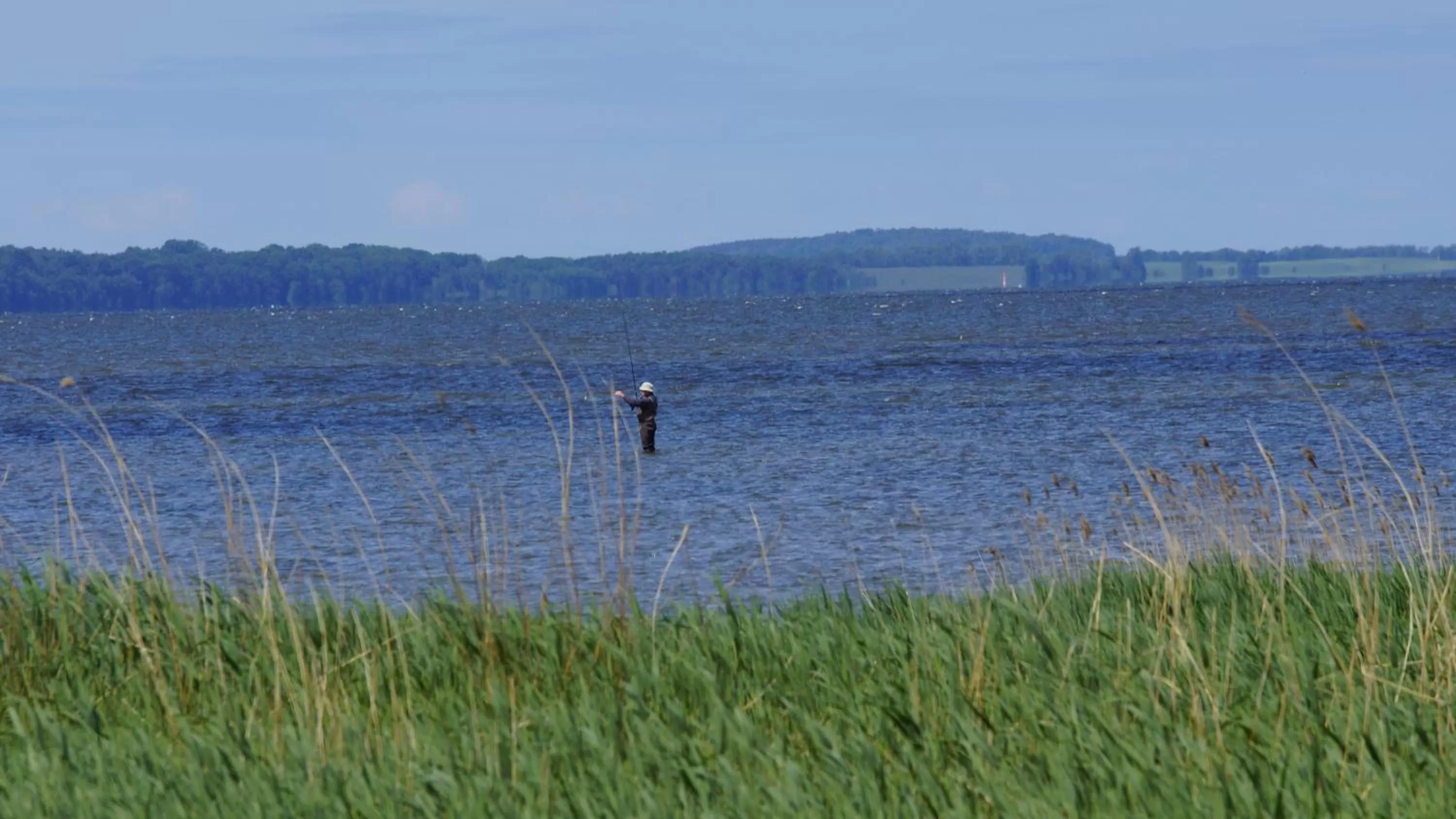 Natural landscape, Other Animals in Hotel Am Markt
