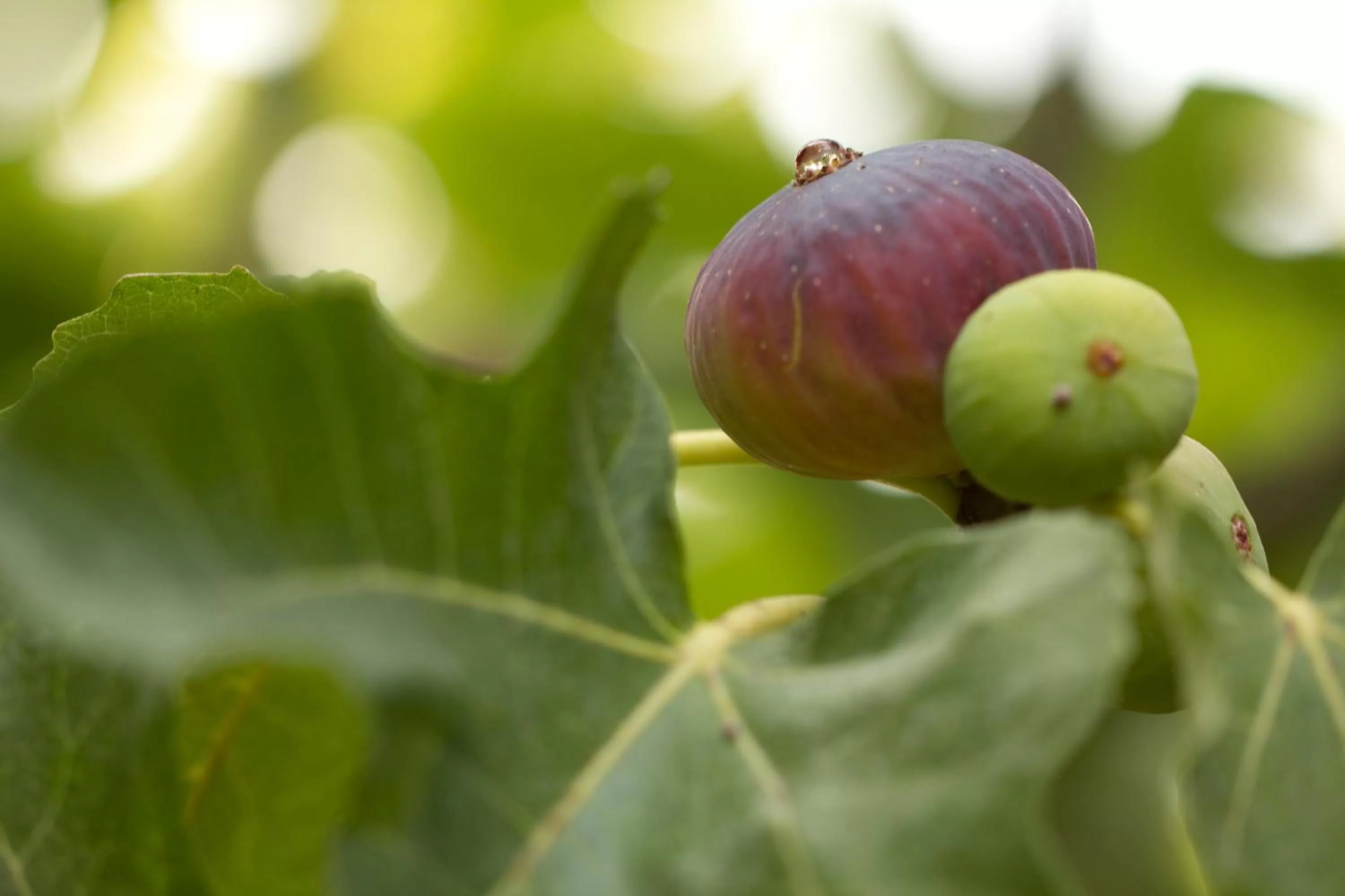Property building in Parco Degli Aranci