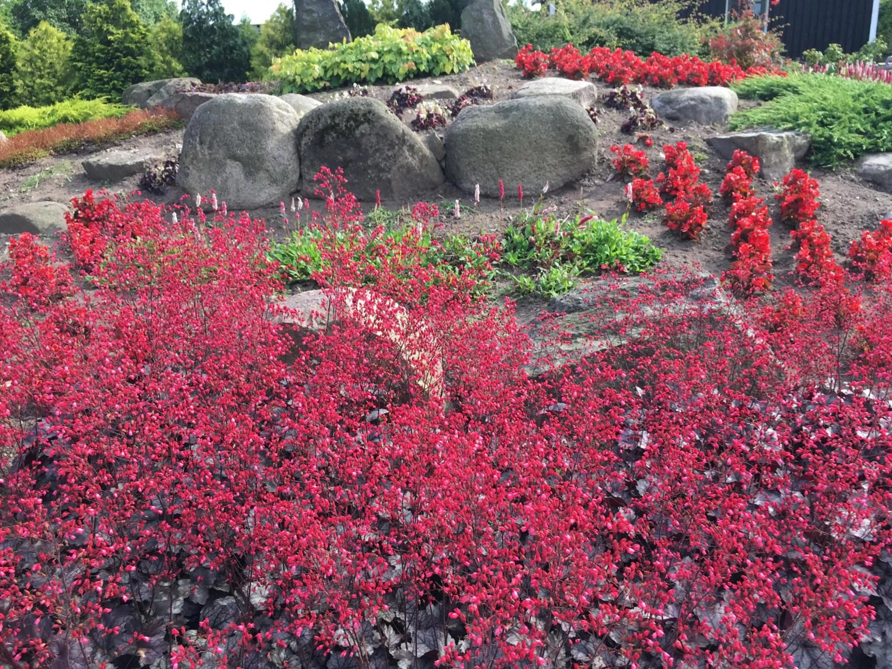 Garden in Birkende Bed and Breakfast