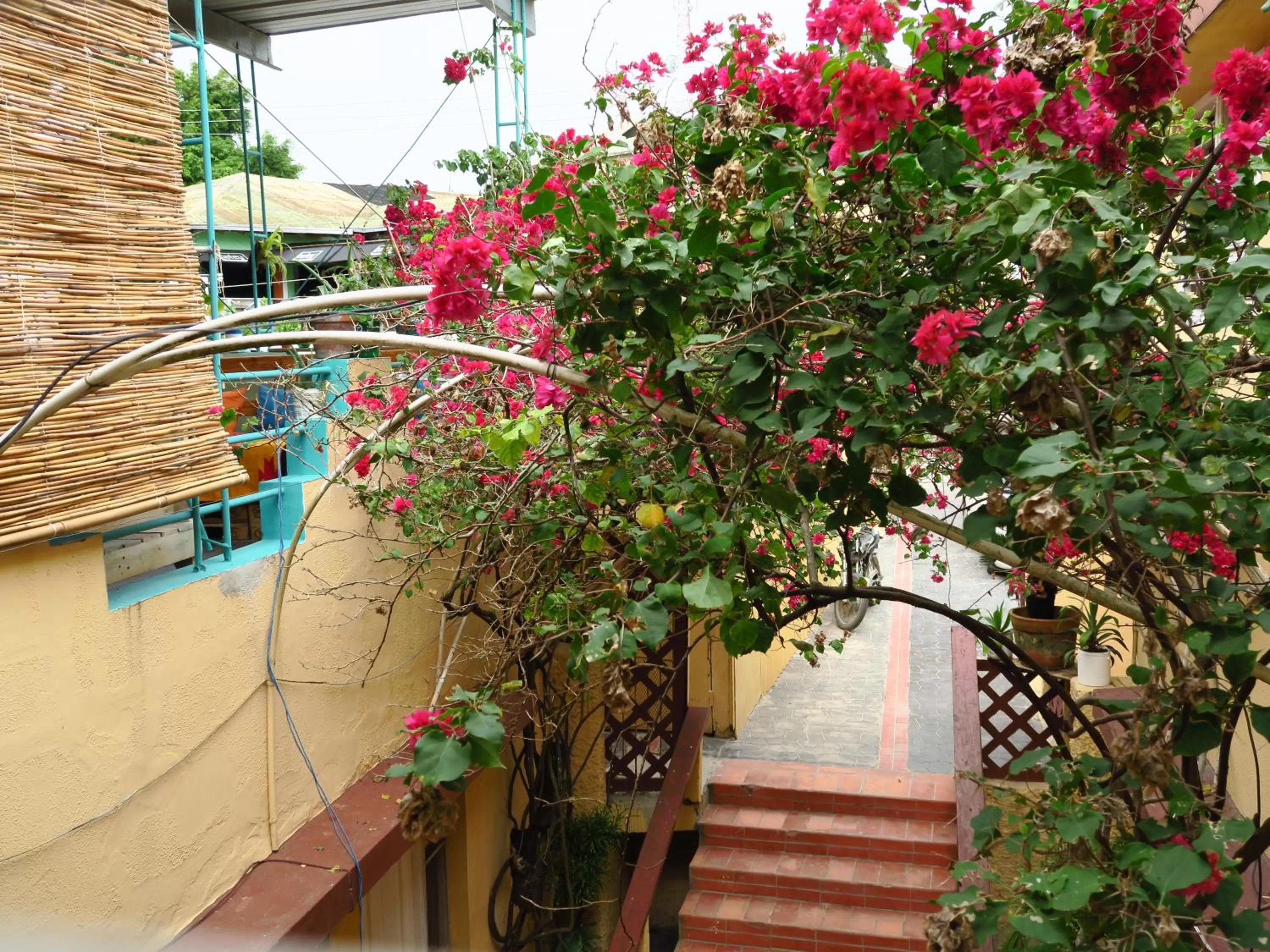 Day in Hotel Club Rolling Stone