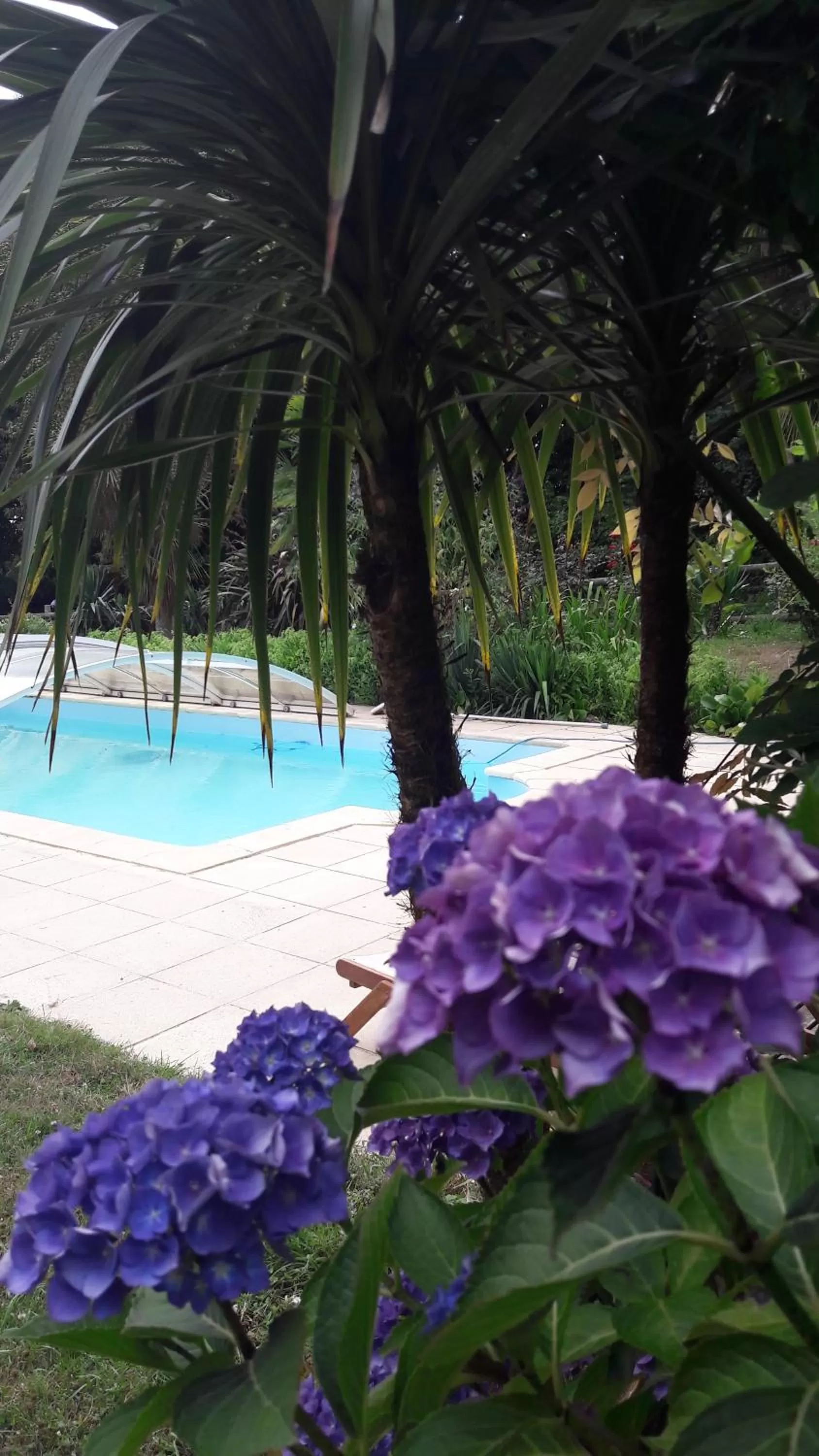 Decorative detail in Manoir de la Peignie