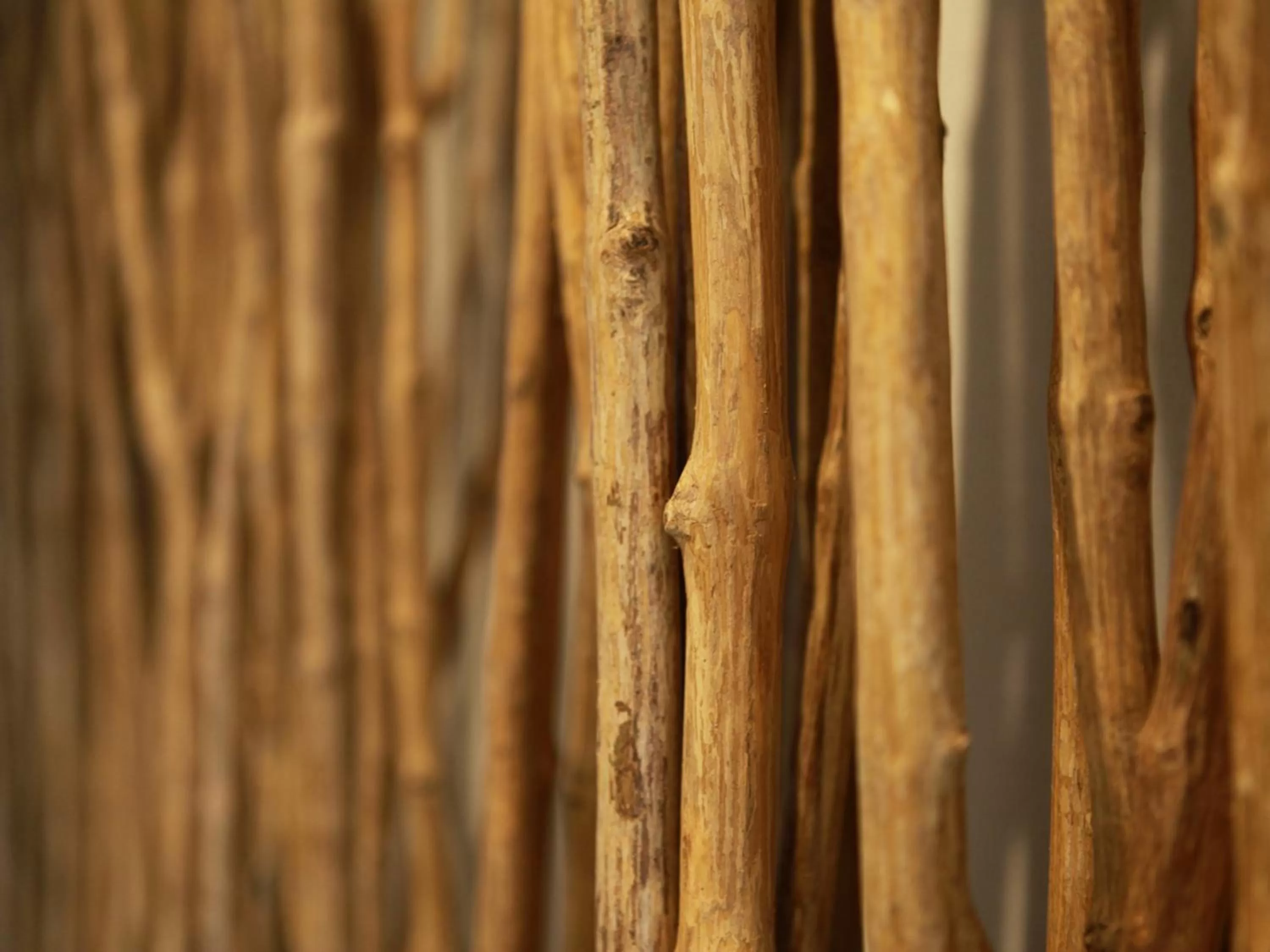 Other in Hotel Bokaiso