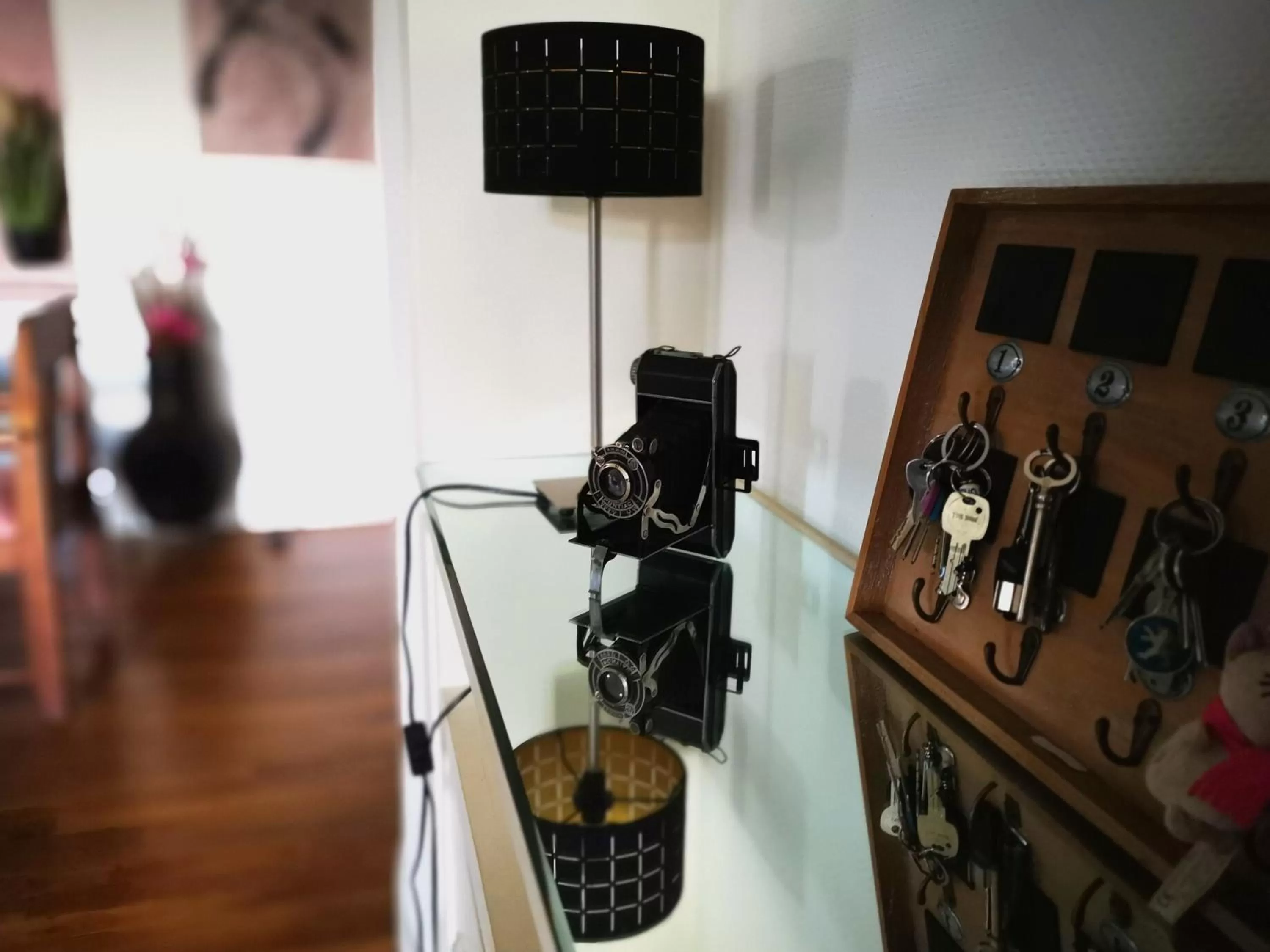 Decorative detail, TV/Entertainment Center in Chambres d'hôtes La Maison Blanche