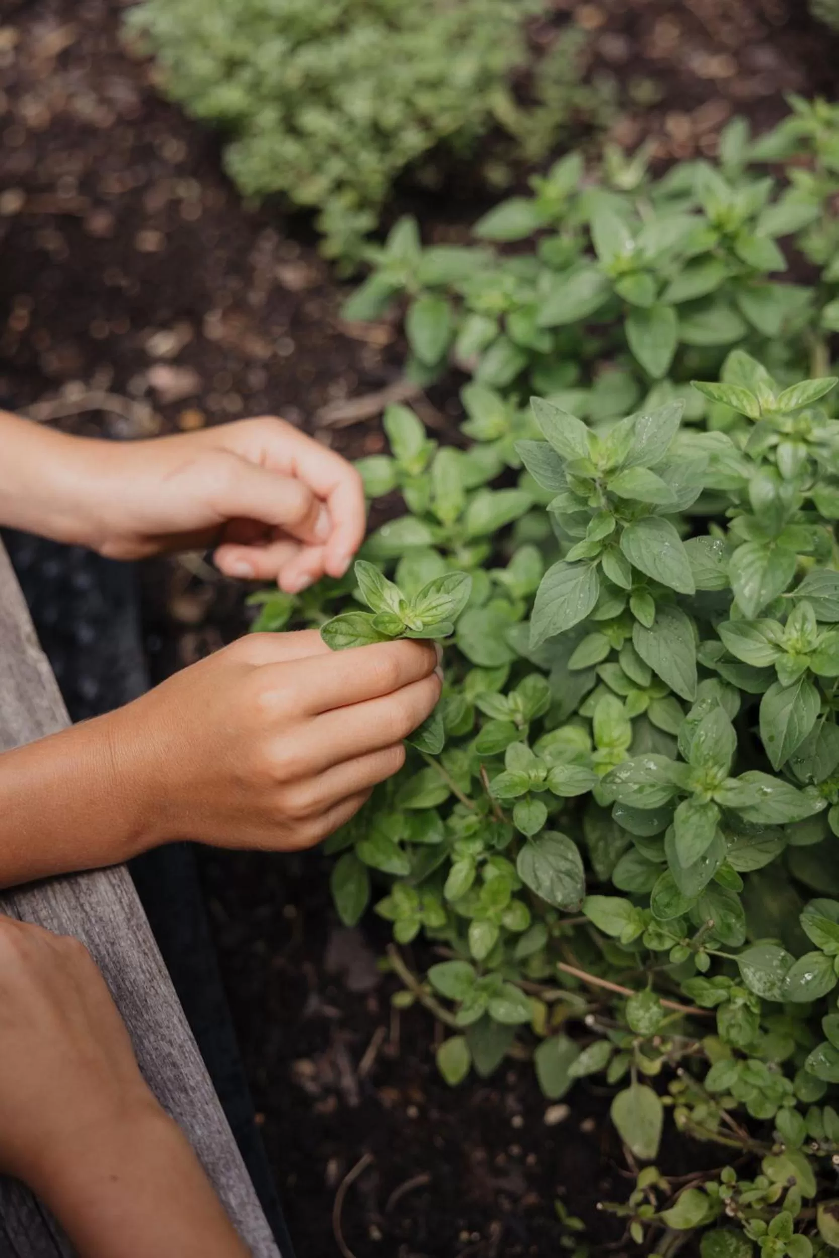 Garden in Hotel Kreuz