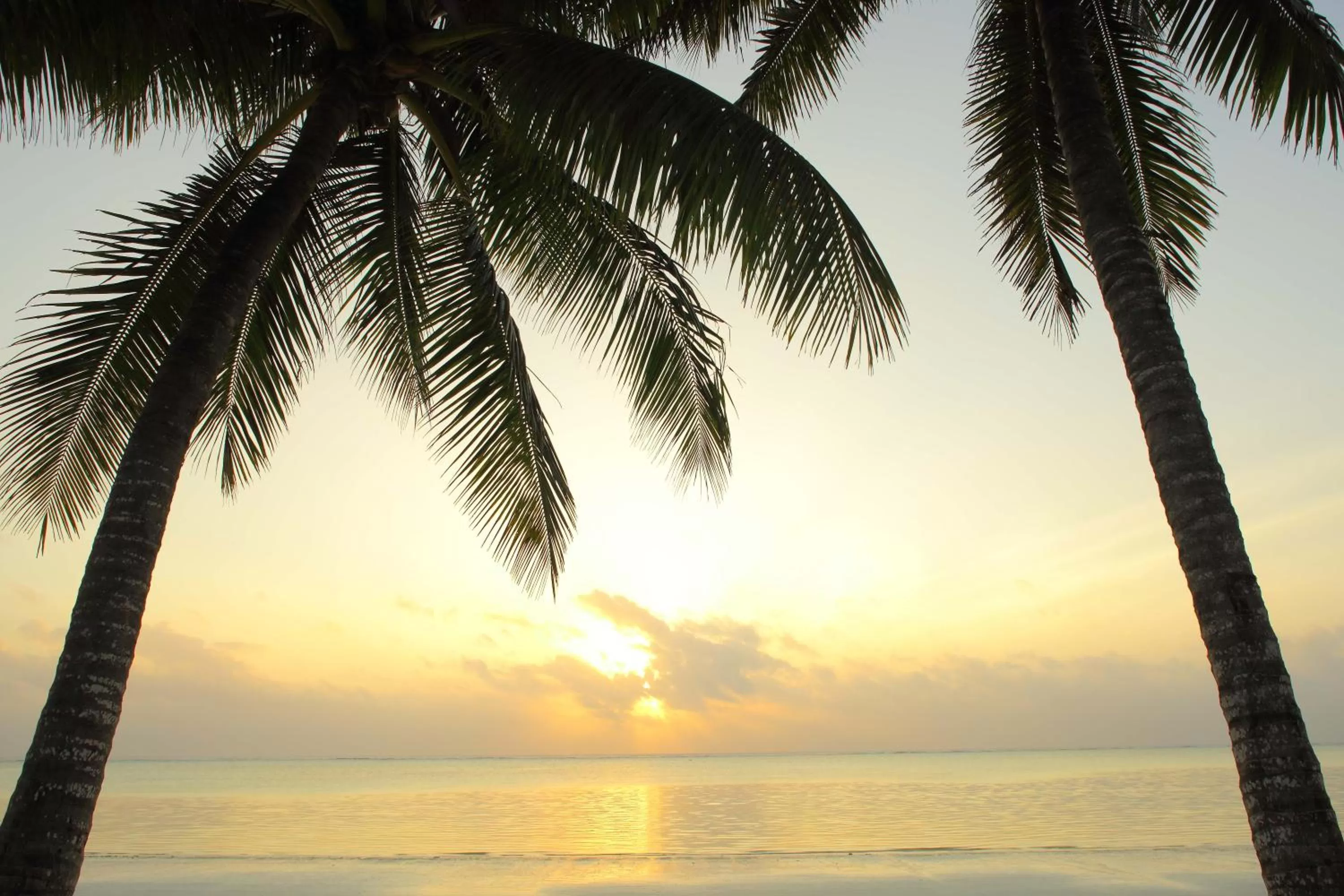 Beach in Sultan Sands Island Resort & Spa