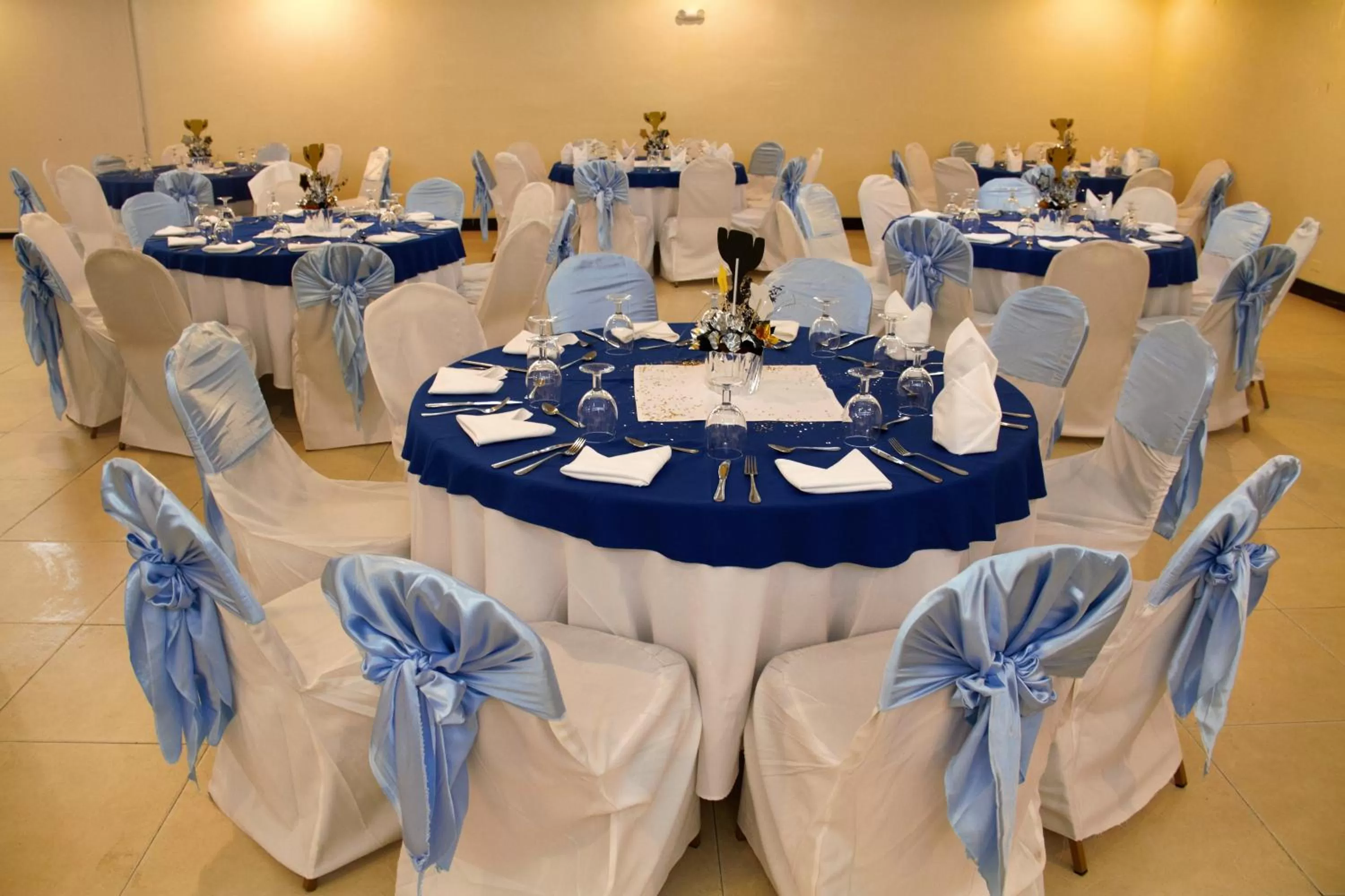 Banquet/Function facilities in Radisson Colon 2,000 Hotel & Casino