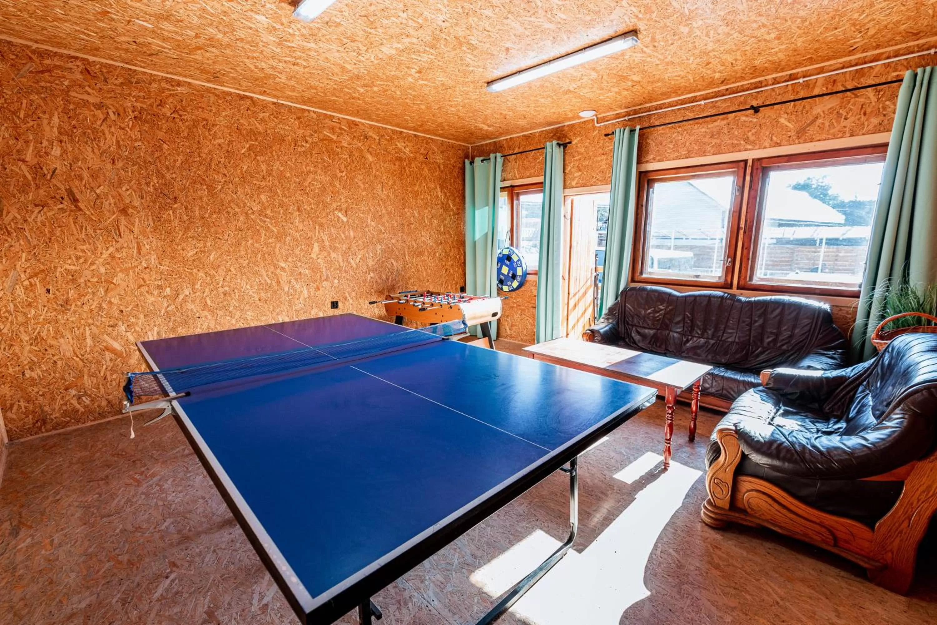 Table Tennis in Willa ŻeglarSki