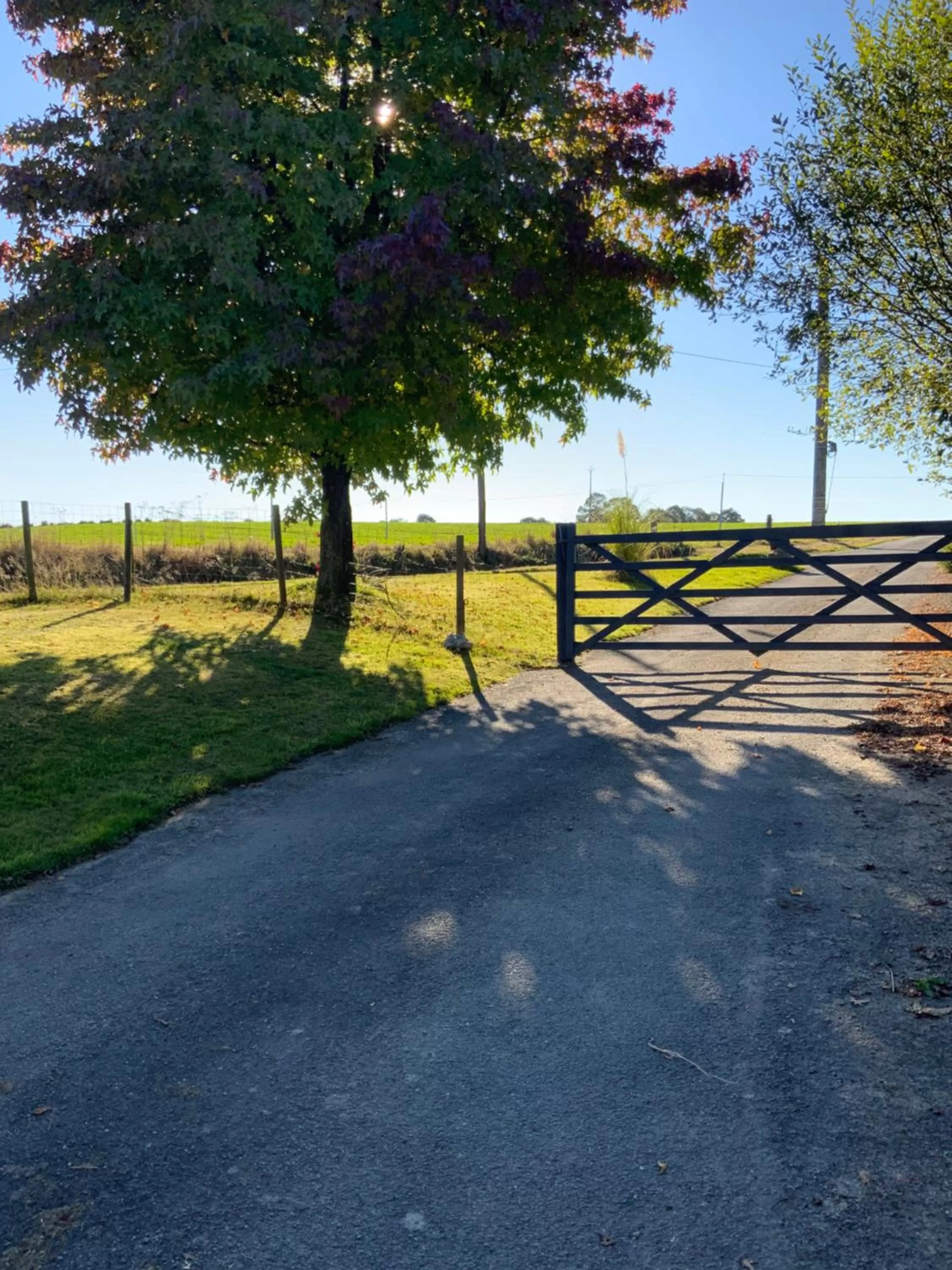 Garden in Welcoming and peaceful bed and breakfast