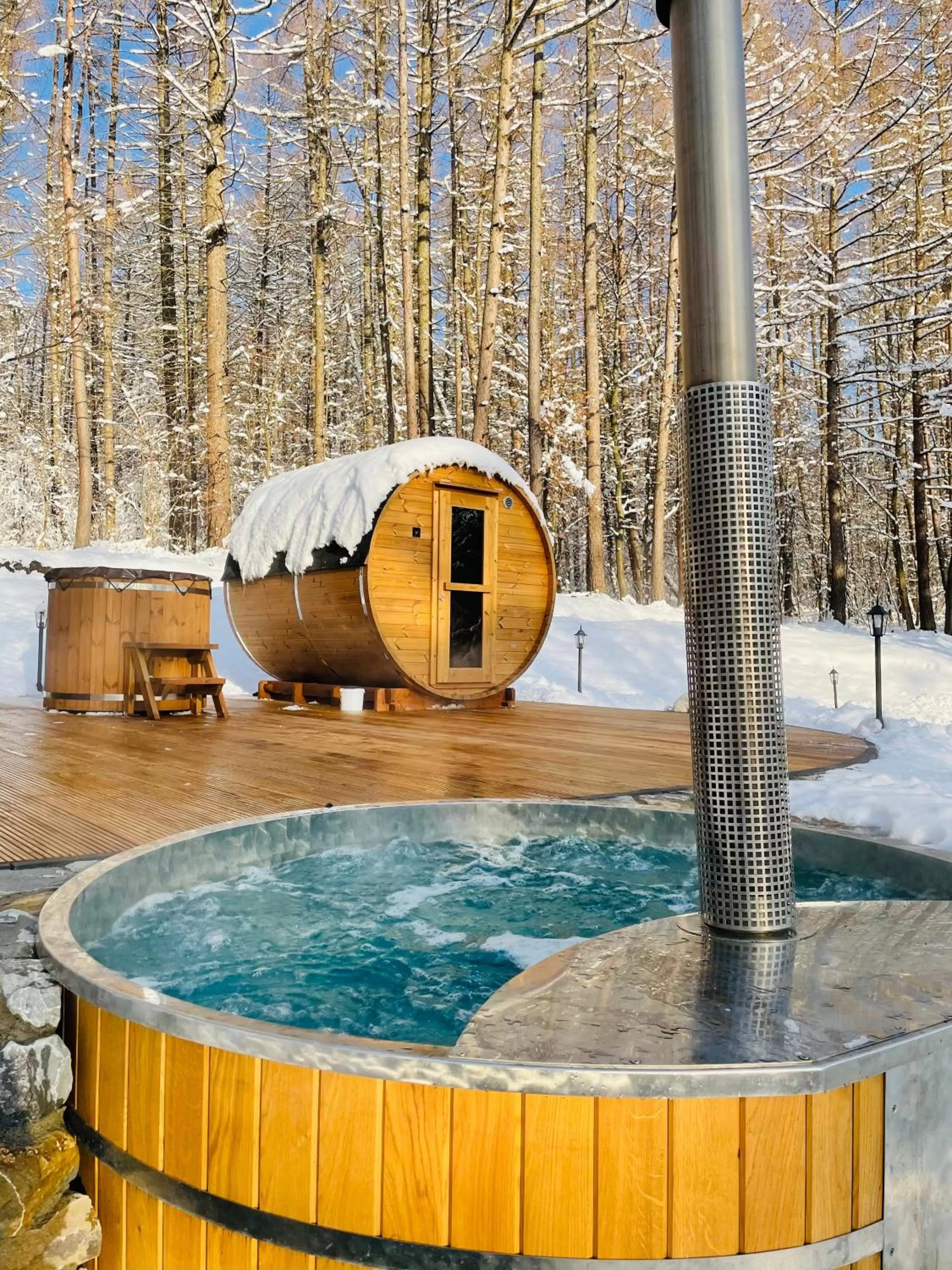 Winter in Basztogród