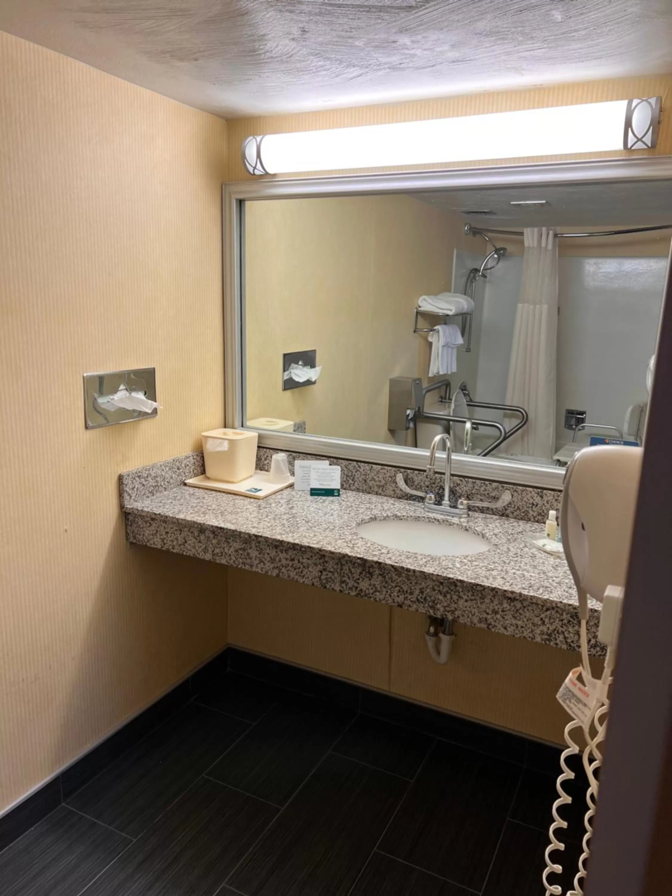 Bathroom in Quality Inn Hermitage South