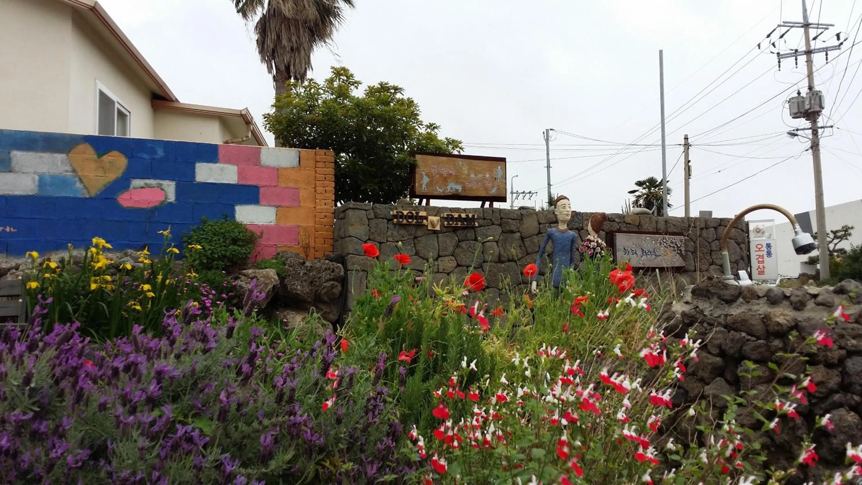 Garden in JEJU Doldam B&B