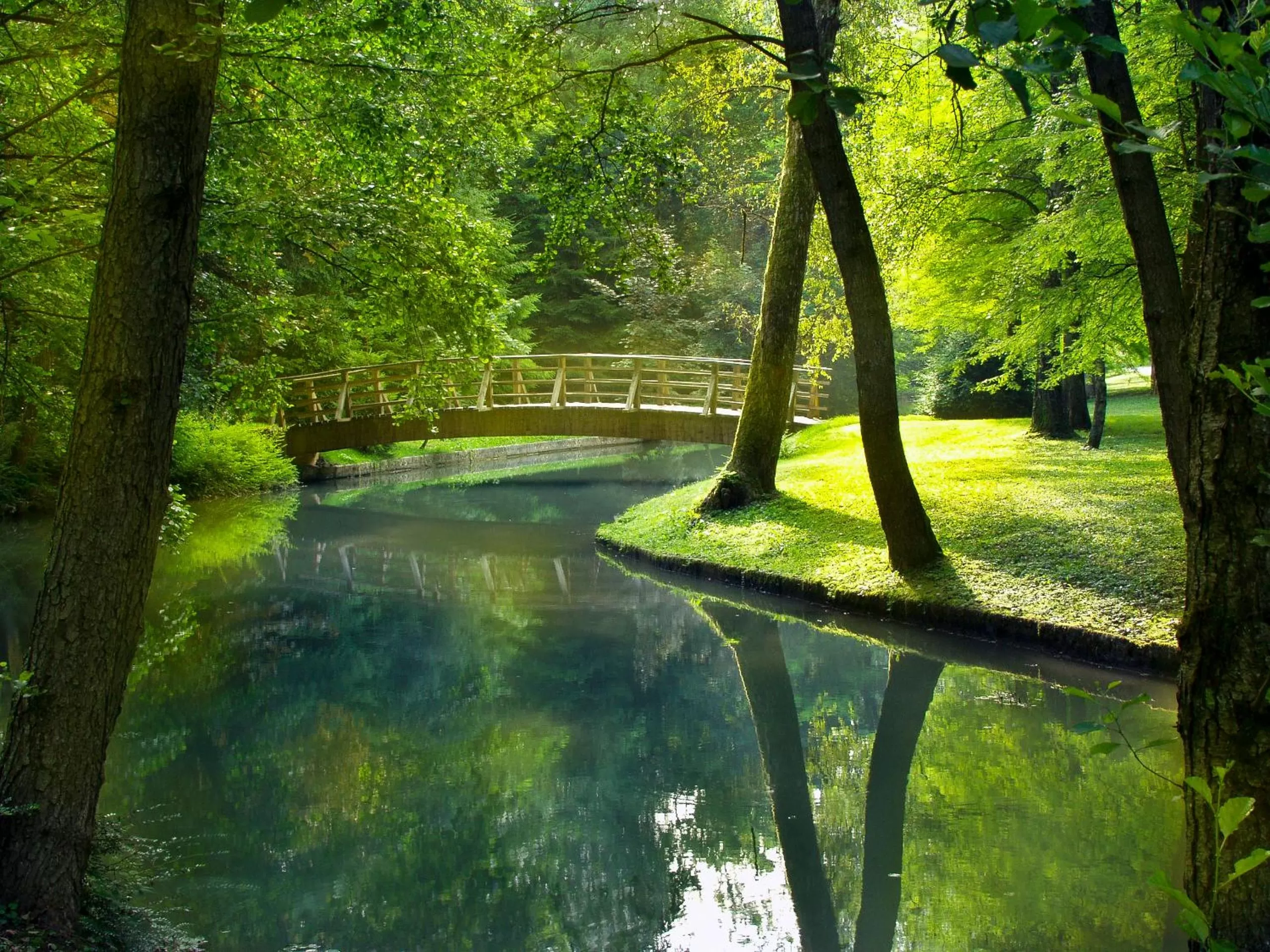 Natural landscape in Elegans Hotel Brdo