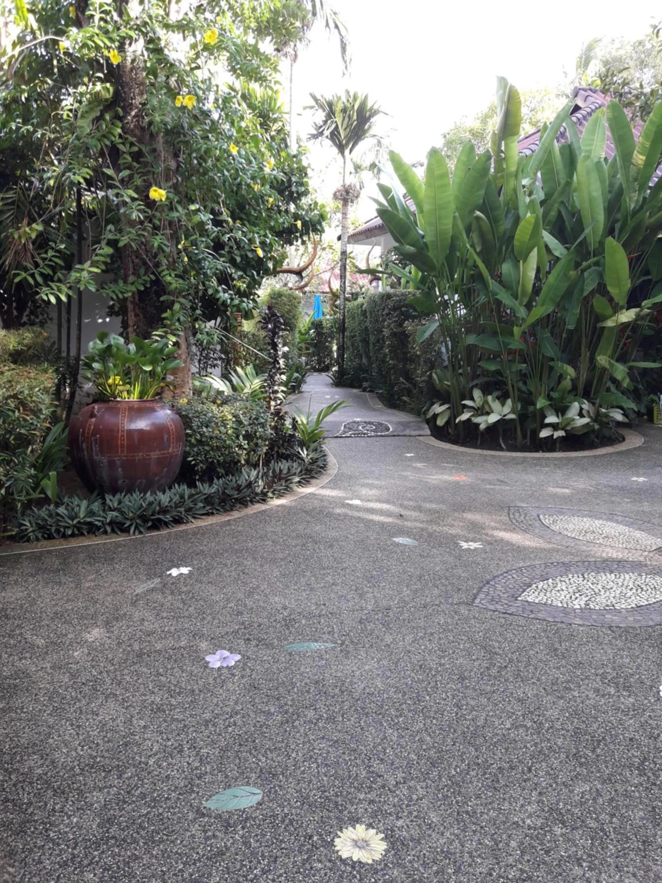 Garden in Cocoville Phuket - SHA Plus