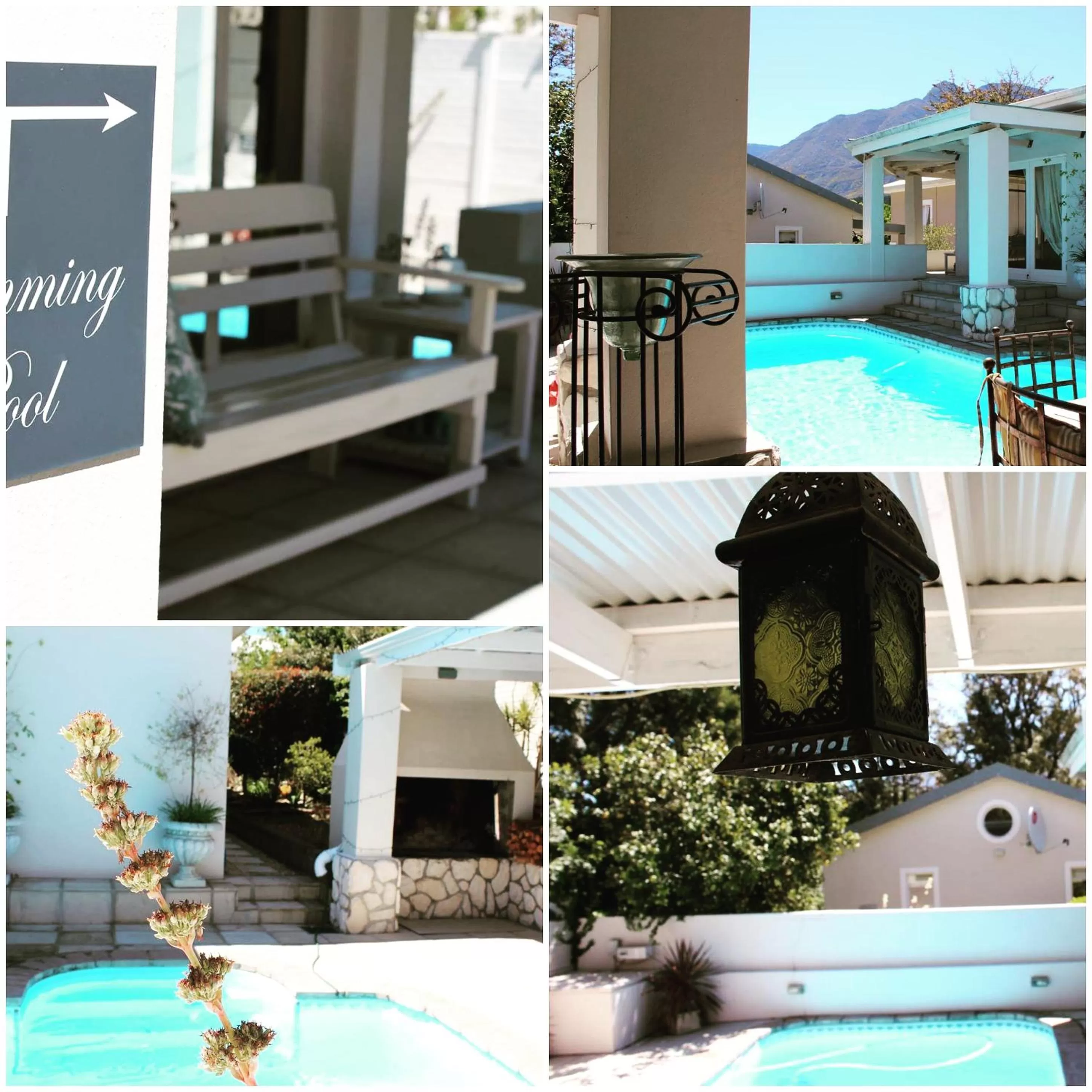 Pool view, Swimming Pool in Bergview Guesthouse Swellendam