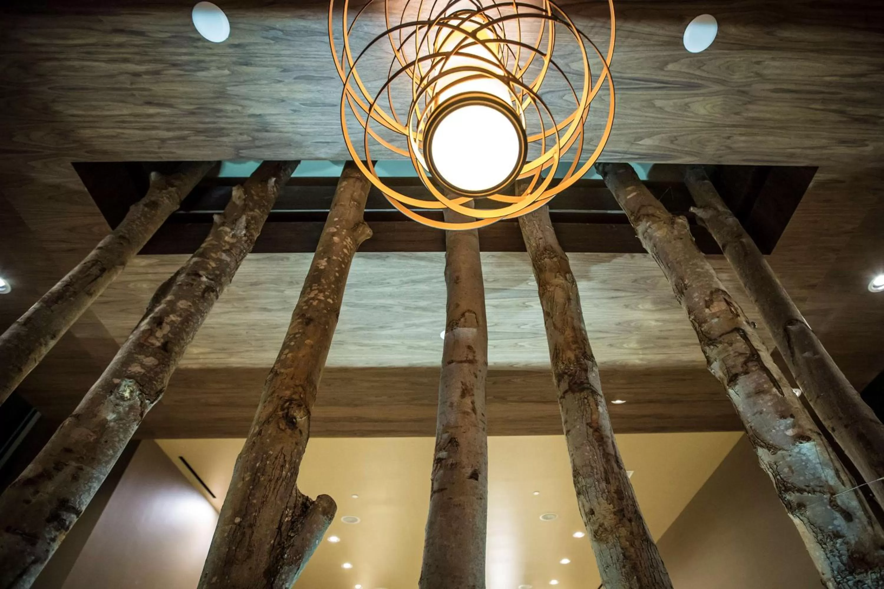 Lobby or reception in Homewood Suites by Hilton Charlotte Ballantyne, NC