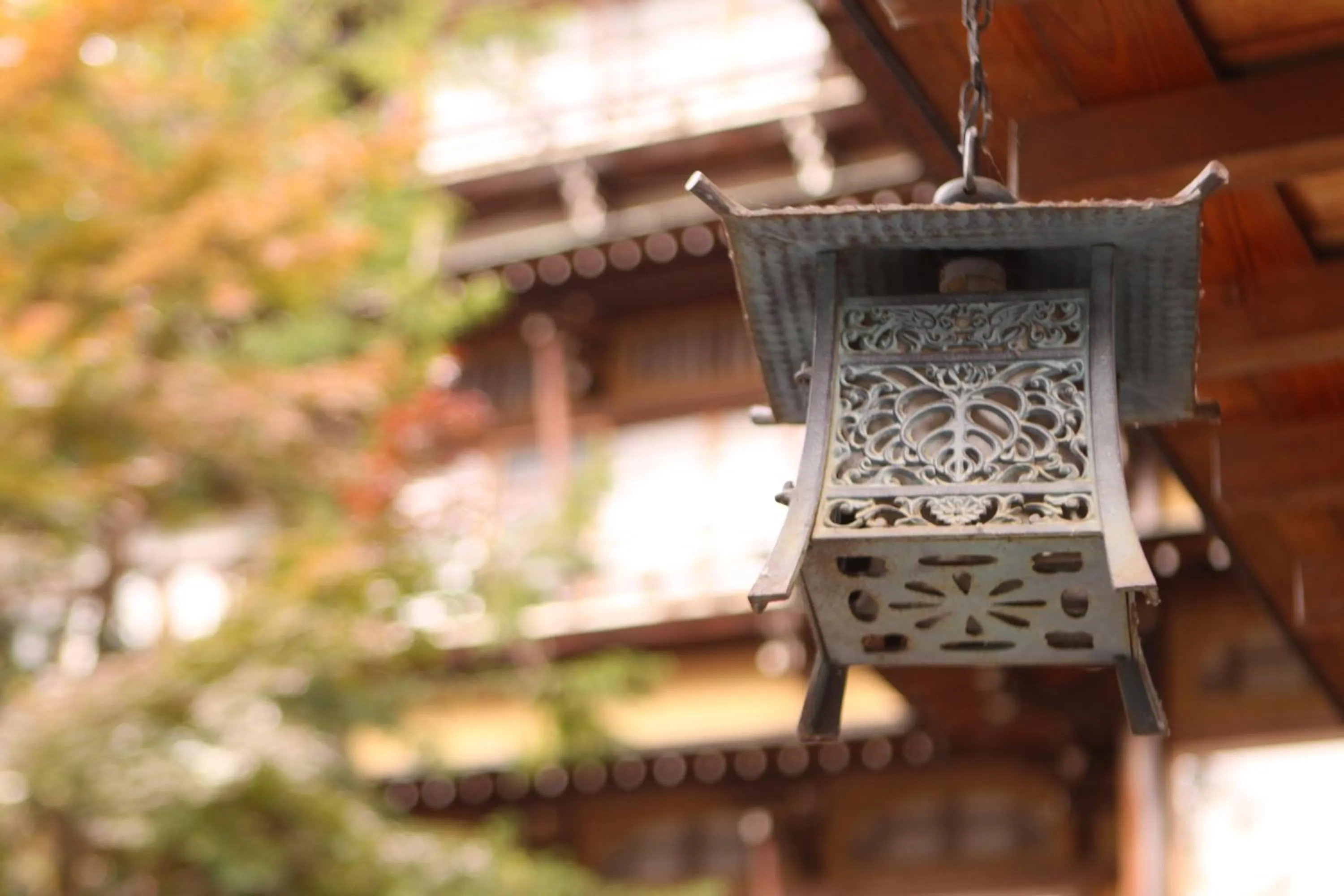 Area and facilities in Sakaeya