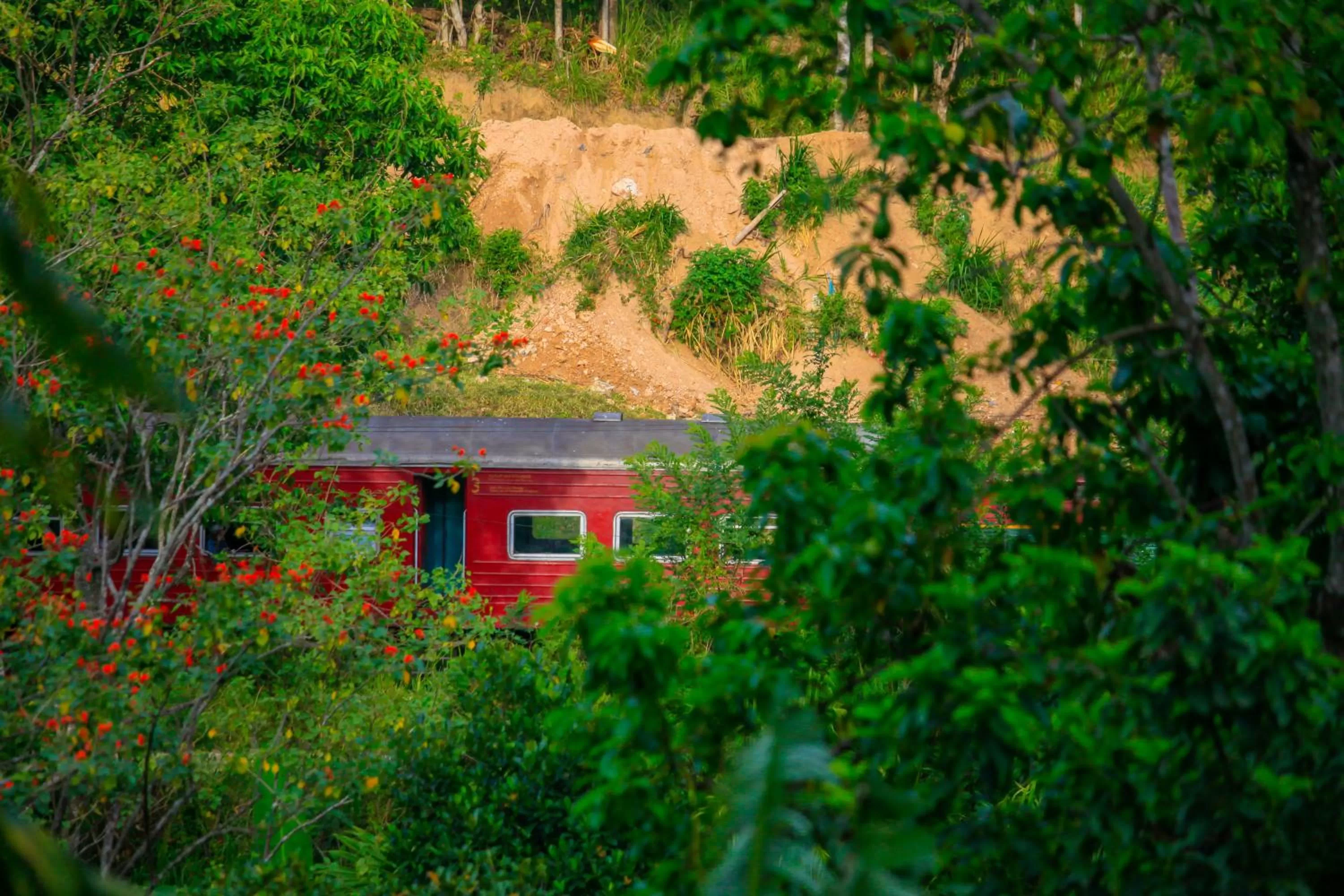 Property building, Garden in Madushanka Resort