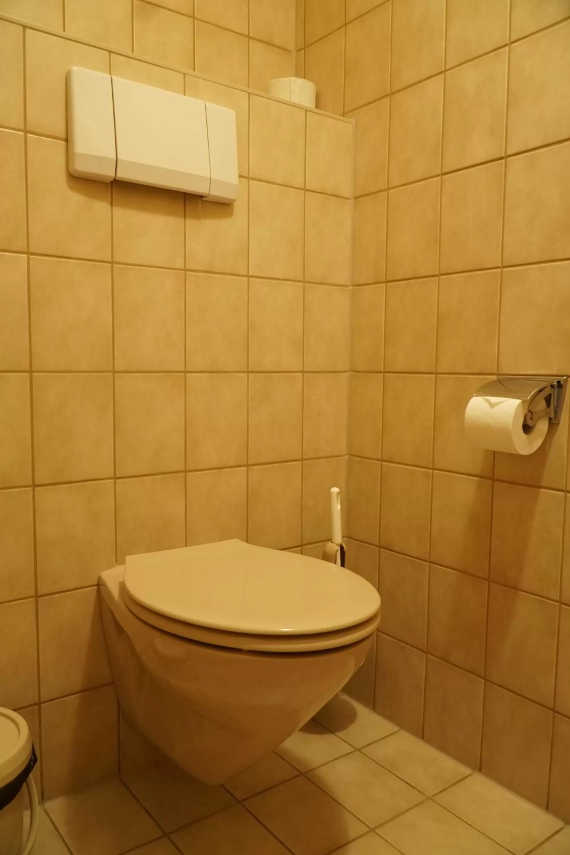 Toilet, Bathroom in Hotel Eleon