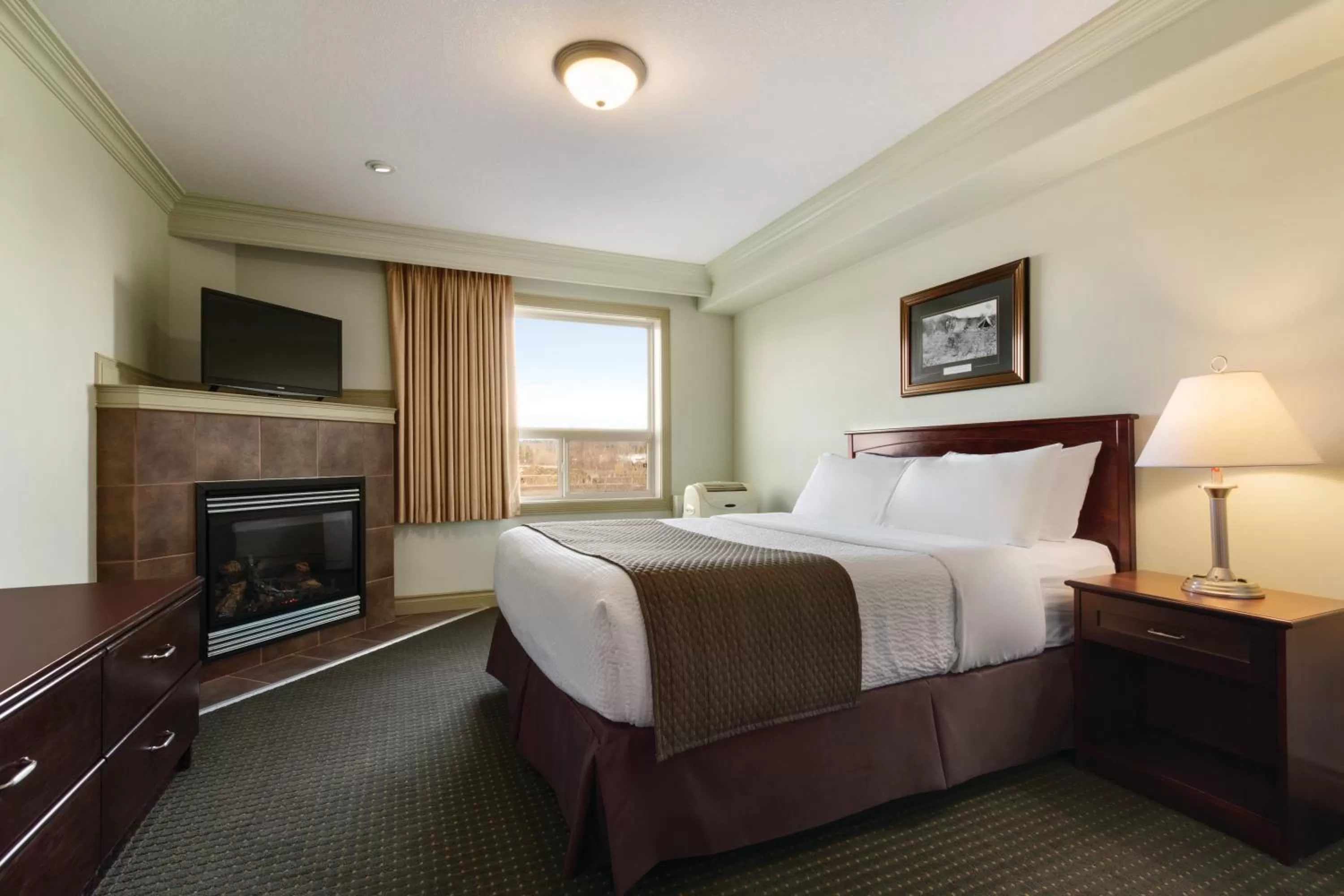 Photo of the whole room, Bed in Quality Inn & Suites