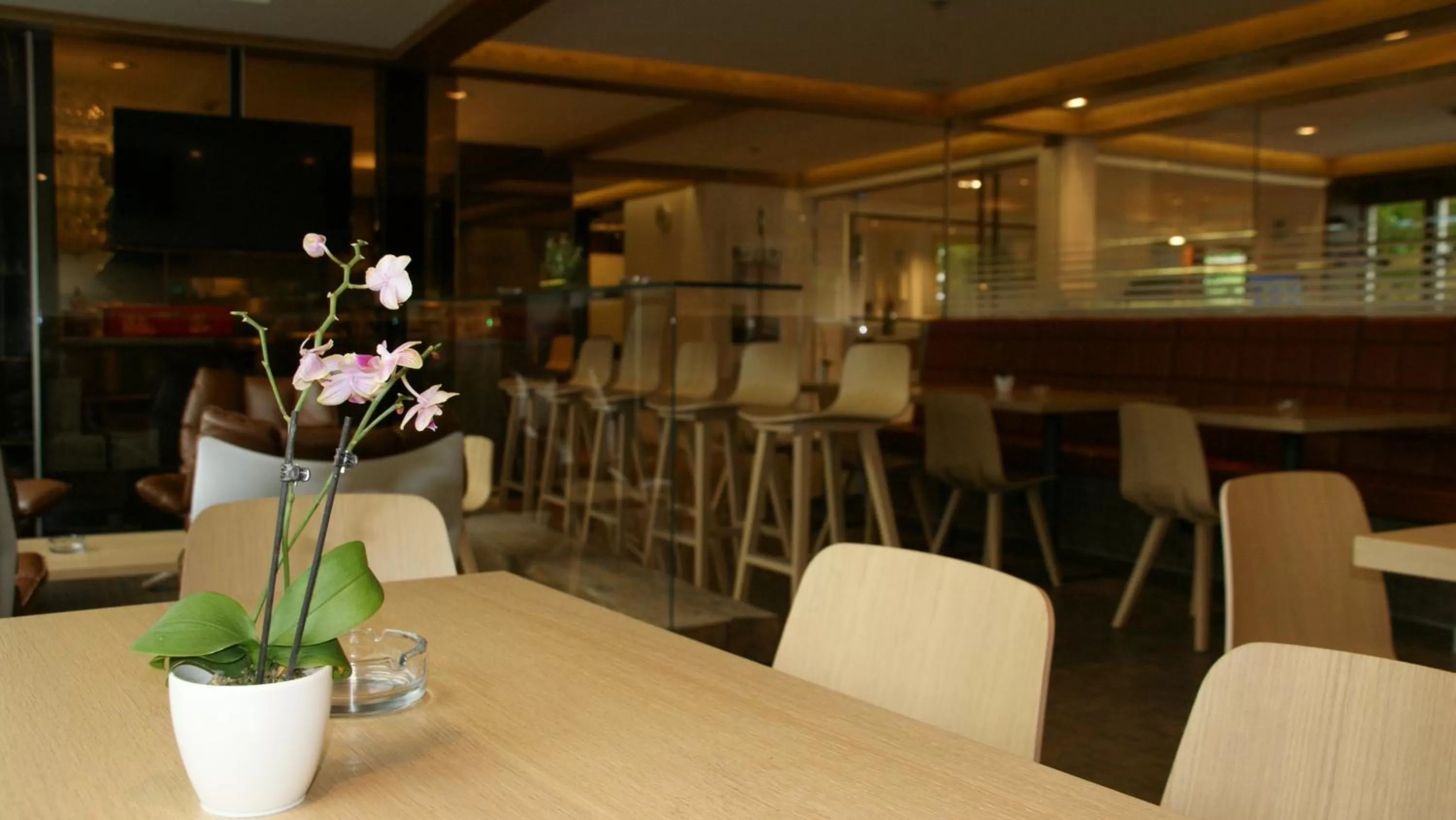 Lounge or bar in Hotel Engel