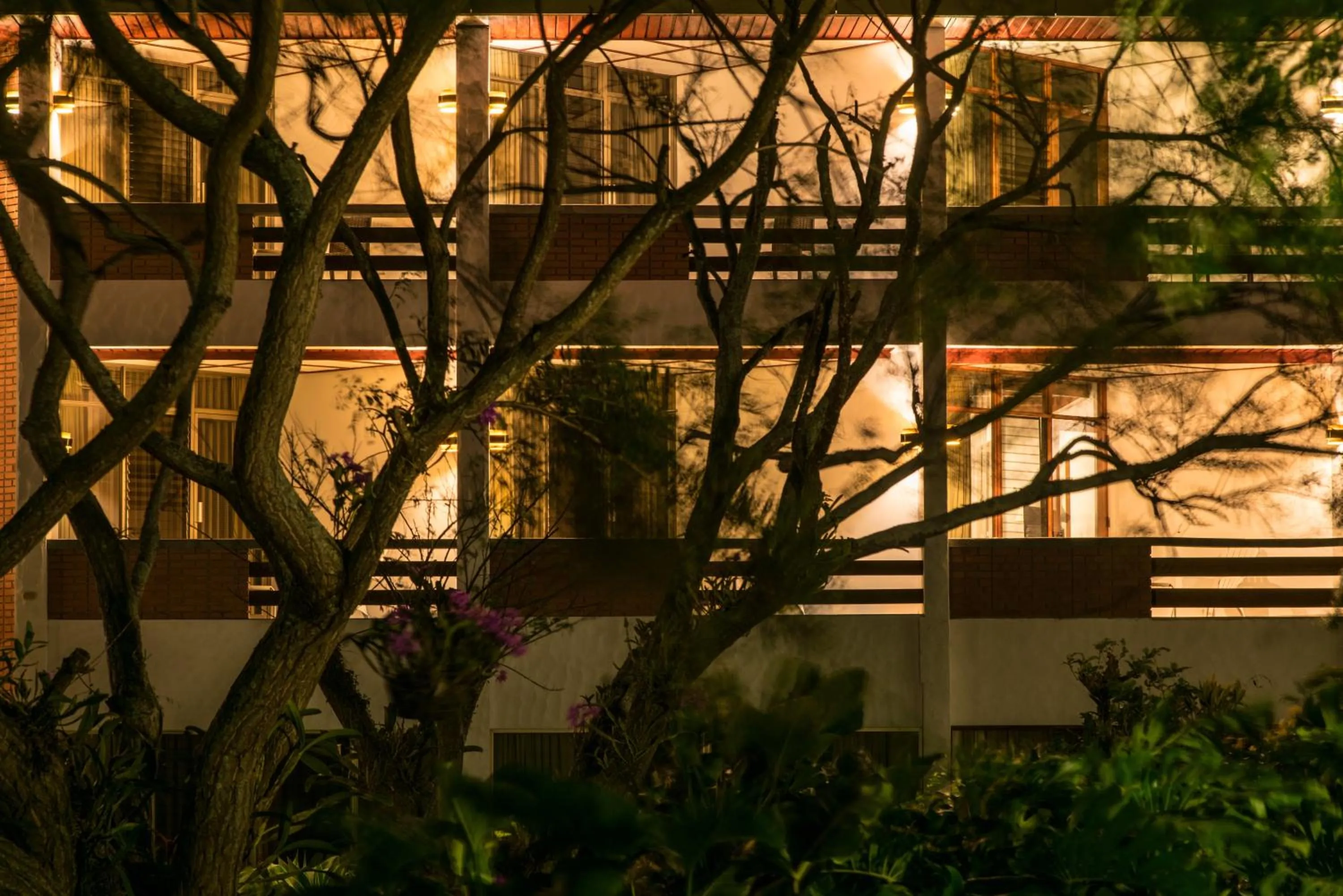 View (from property/room) in Hotel Bougainvillea San José