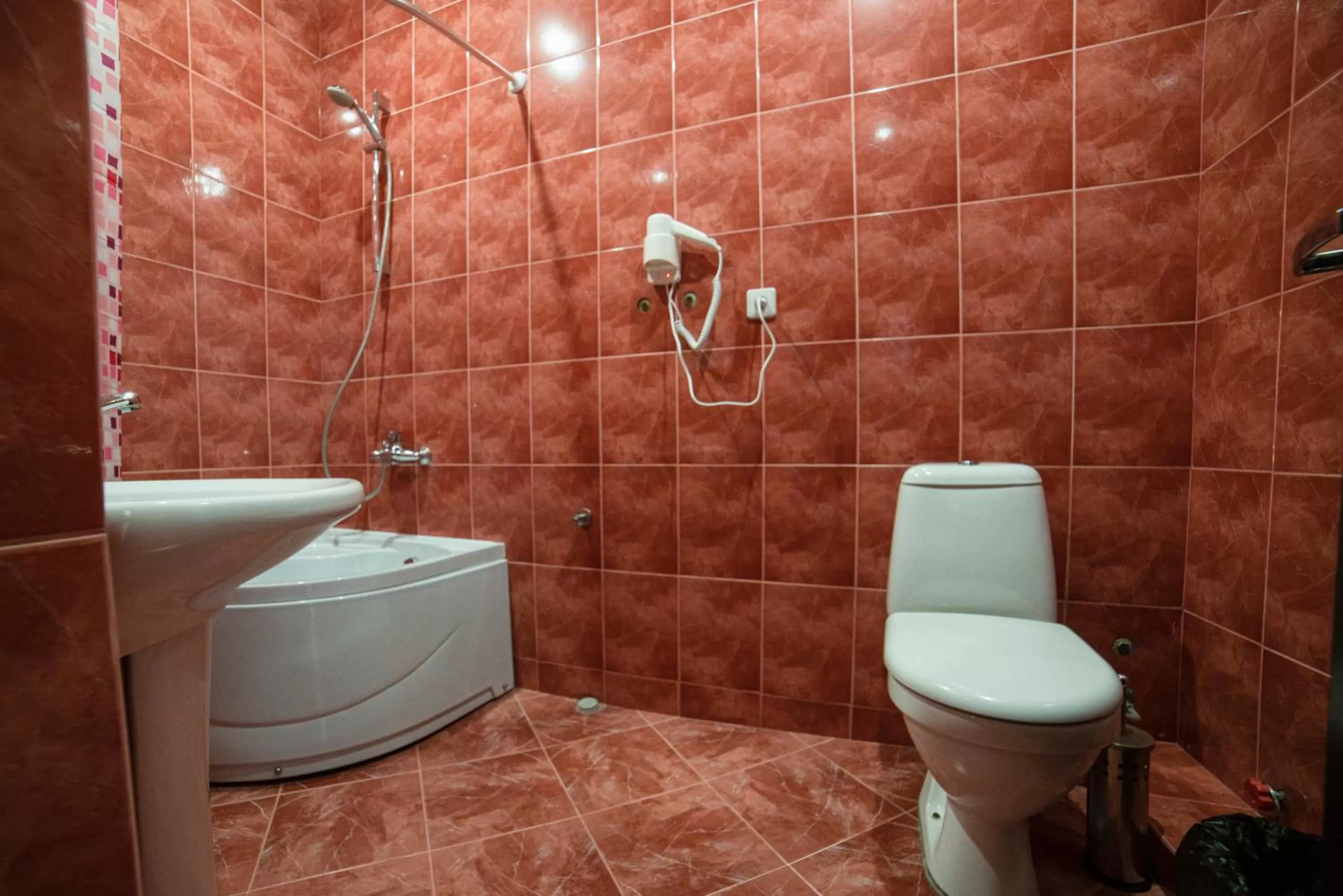 Toilet, Bathroom in Midtown-Vera