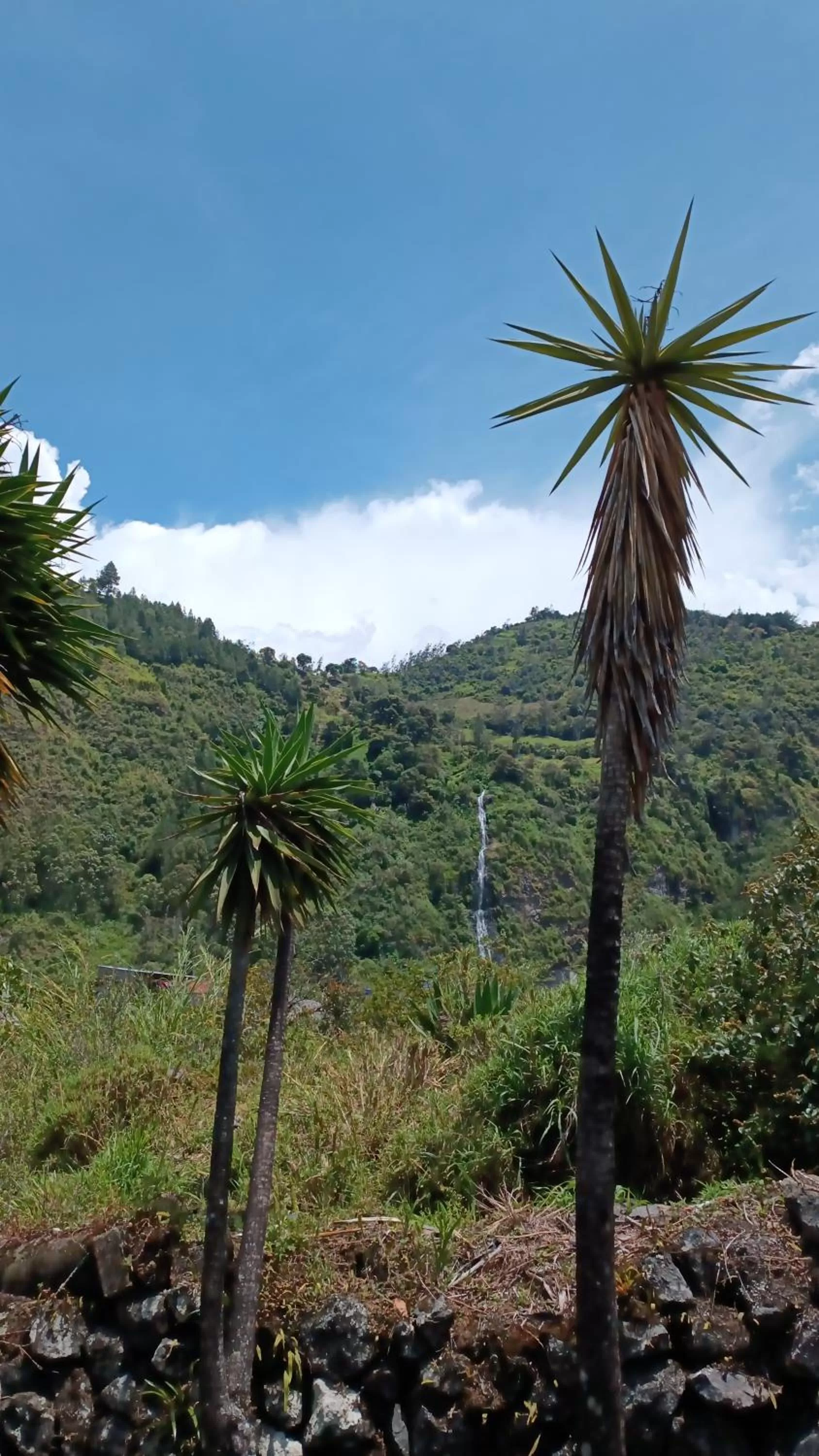 Rústic Hotel Quinta La Aurora