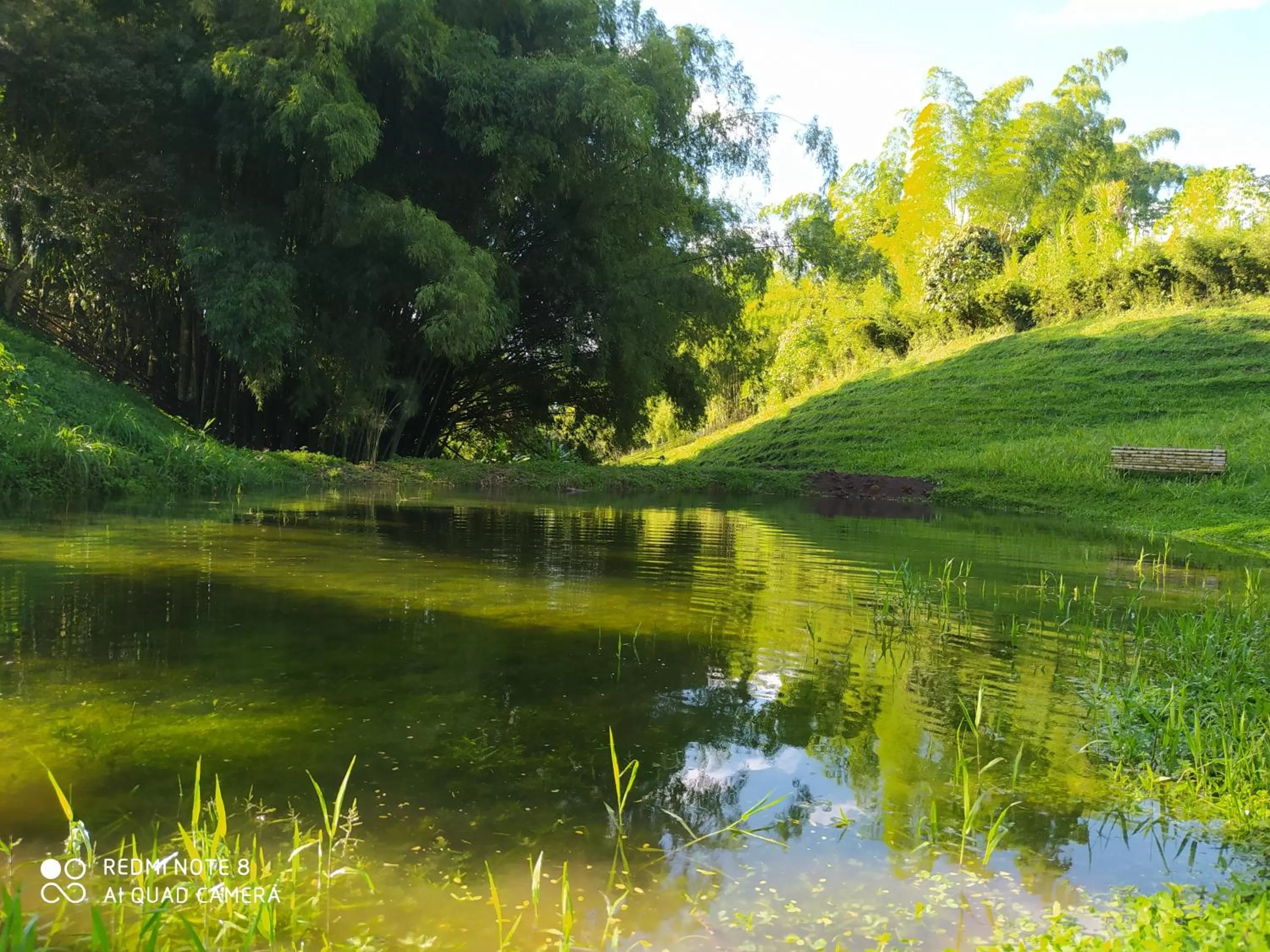 Villa Cristina - Casa Boutique