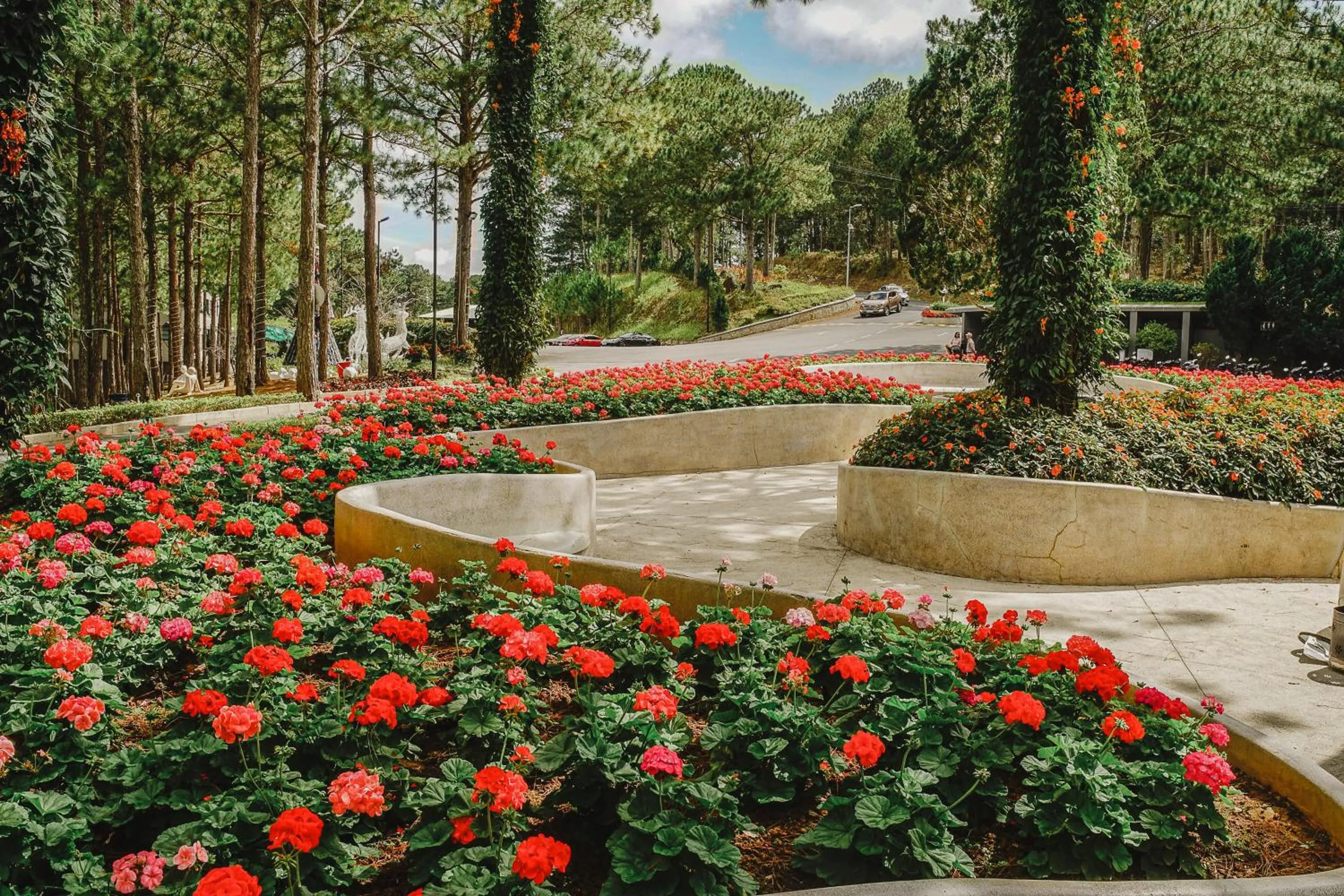 Natural landscape in Terracotta Hotel & Resort Dalat